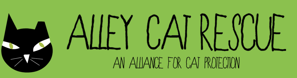 Logo with a black cat face and green eyes on a green background, with the text 'Alley Cat Rescue' and 'An Alliance for Cat Protection'.