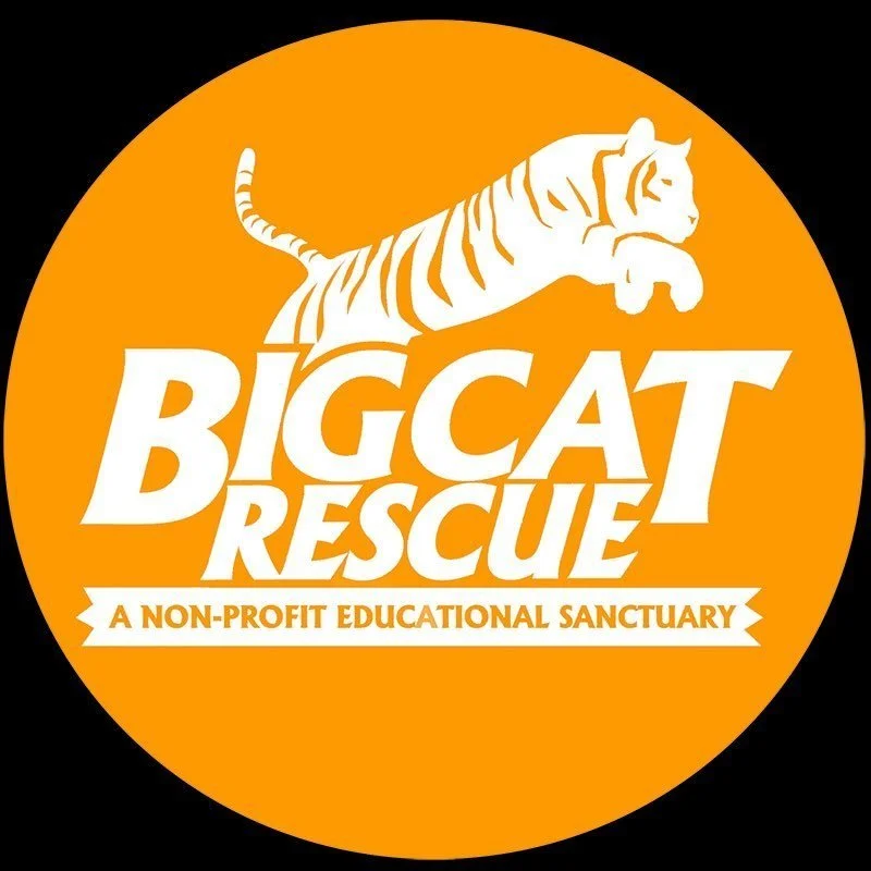 A circular logo with an orange background featuring a white tiger and the text 'BIG CAT RESCUE' in bold letters. Below, it says 'A NON-PROFIT EDUCATIONAL SANCTUARY.'