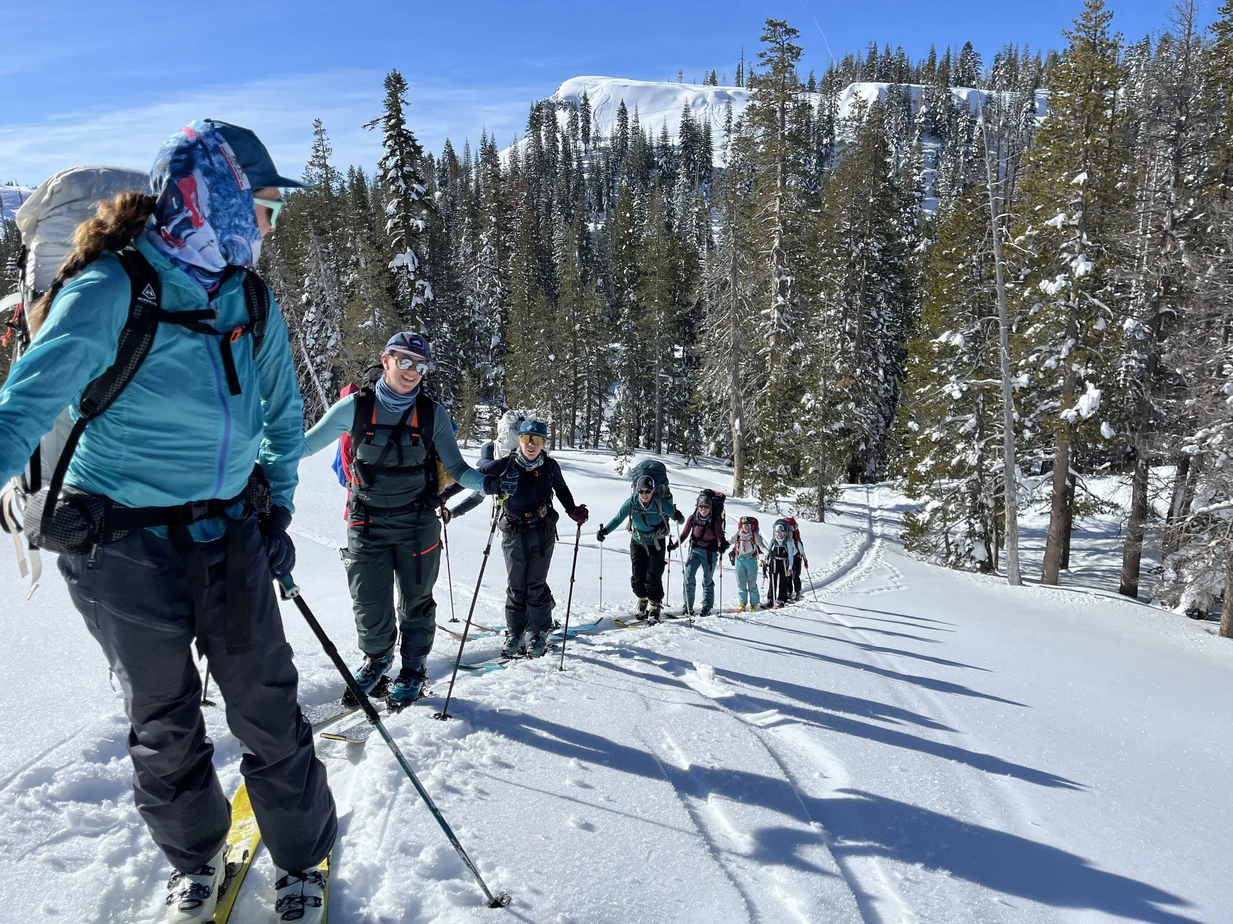 Group of people snowshoeing in a snowy forest under a clear blue sky.