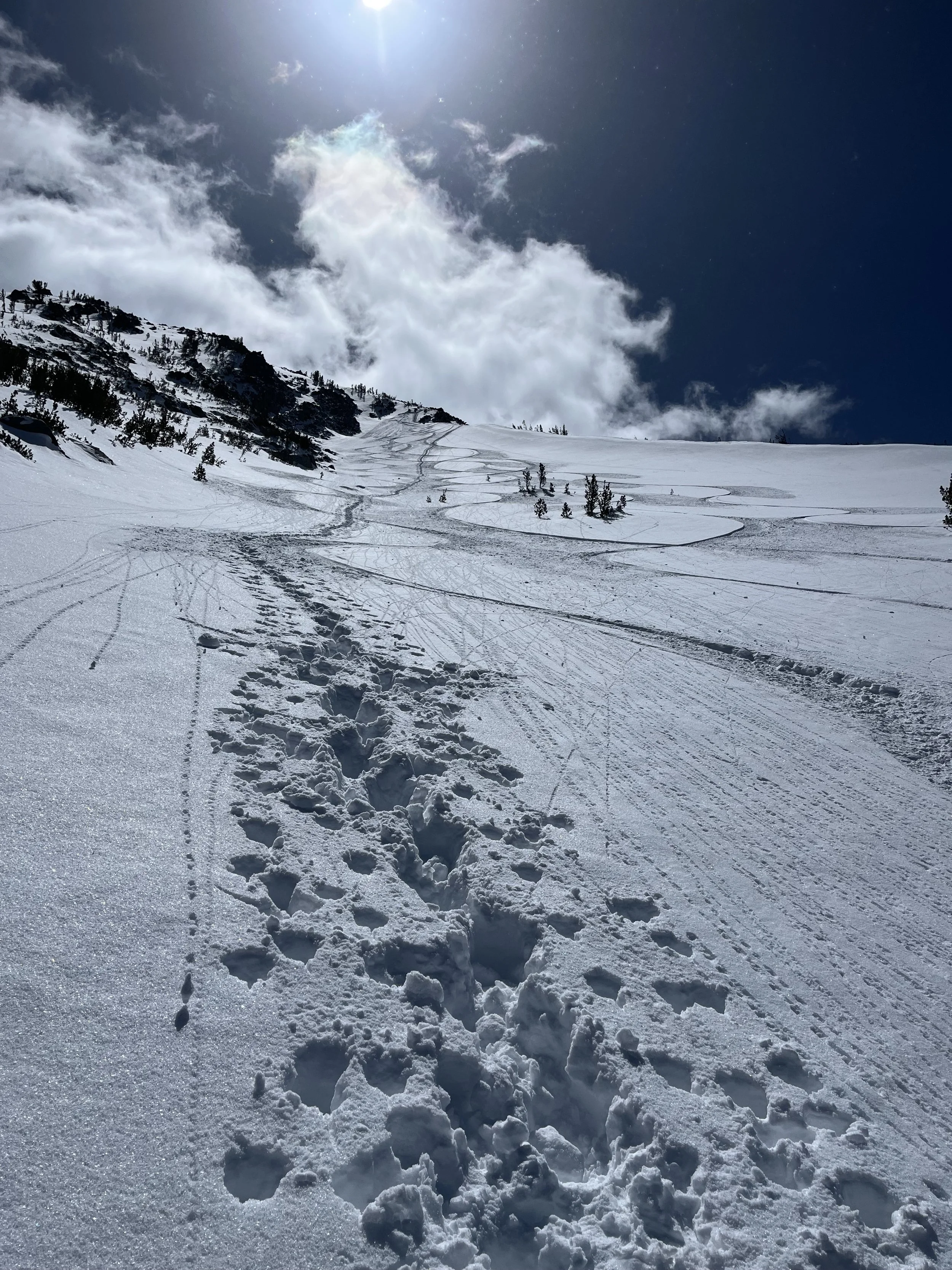 Snow-covered mountain slope with ski tracks and footprints, trees at the top, blue sky, and bright sunlight.