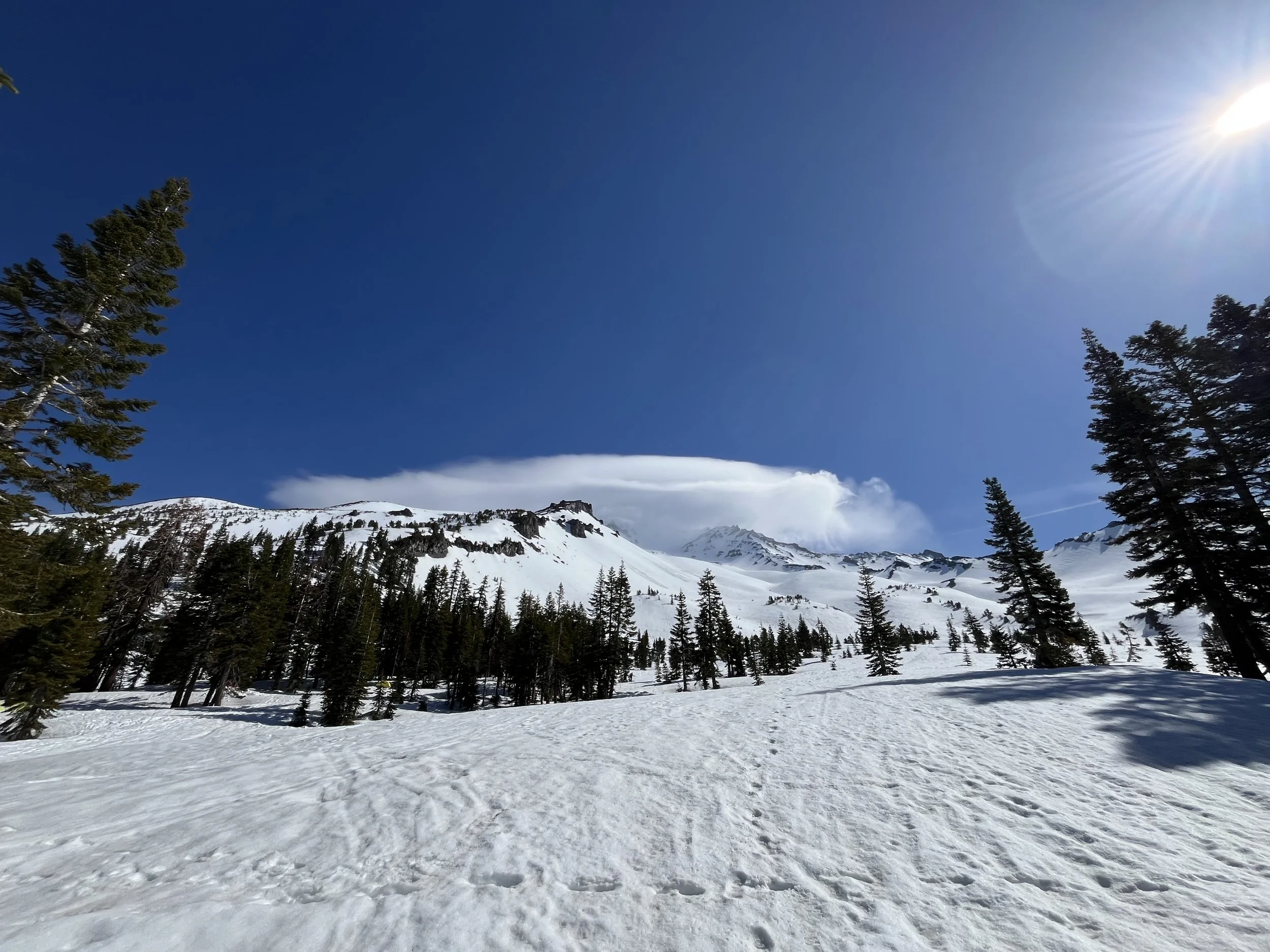 Snow-covered mountain landscape with evergreen trees and blue sky with sunlight.