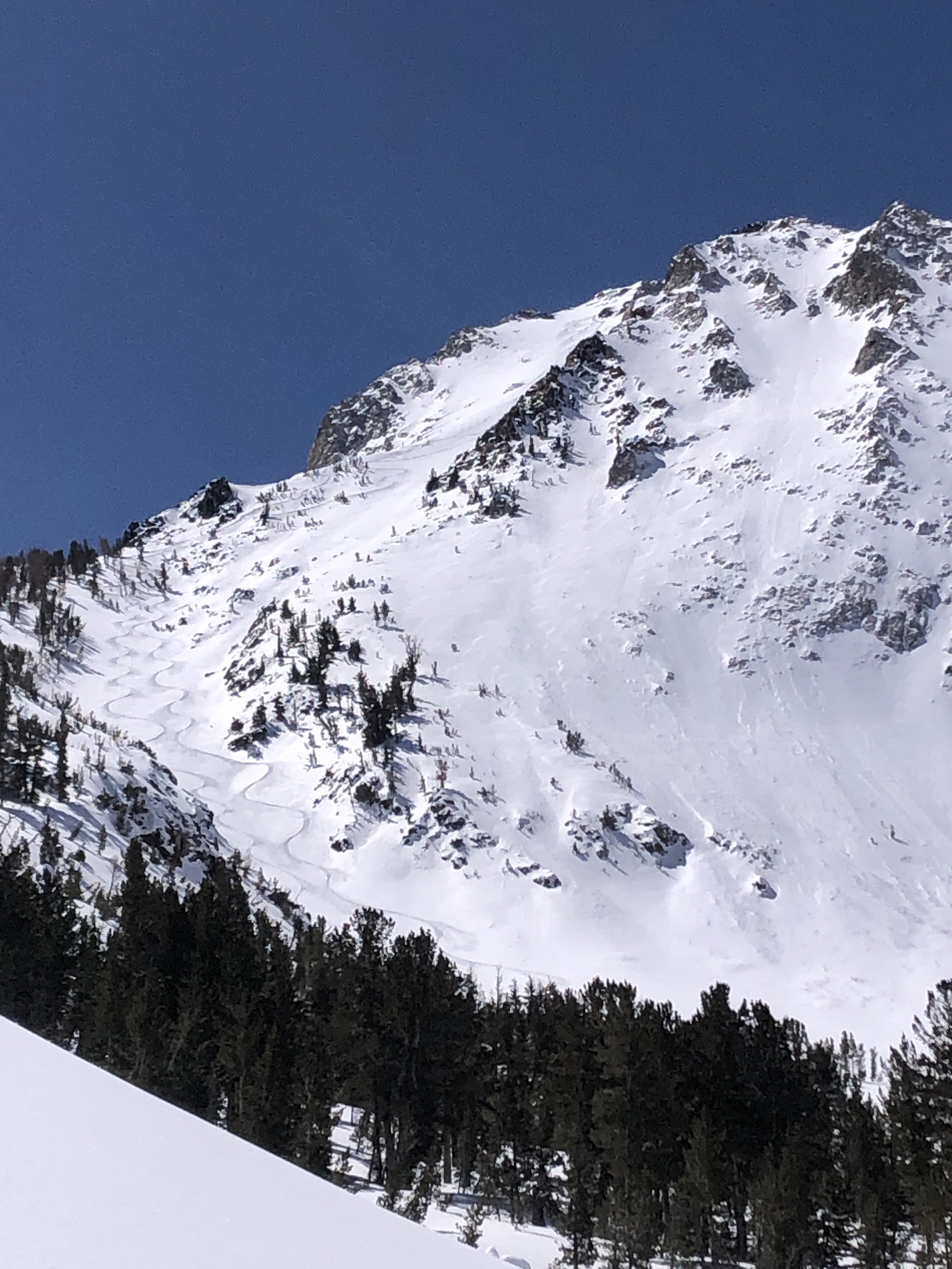 Ski Tracks California Powder Skiing Snowboard Tracks