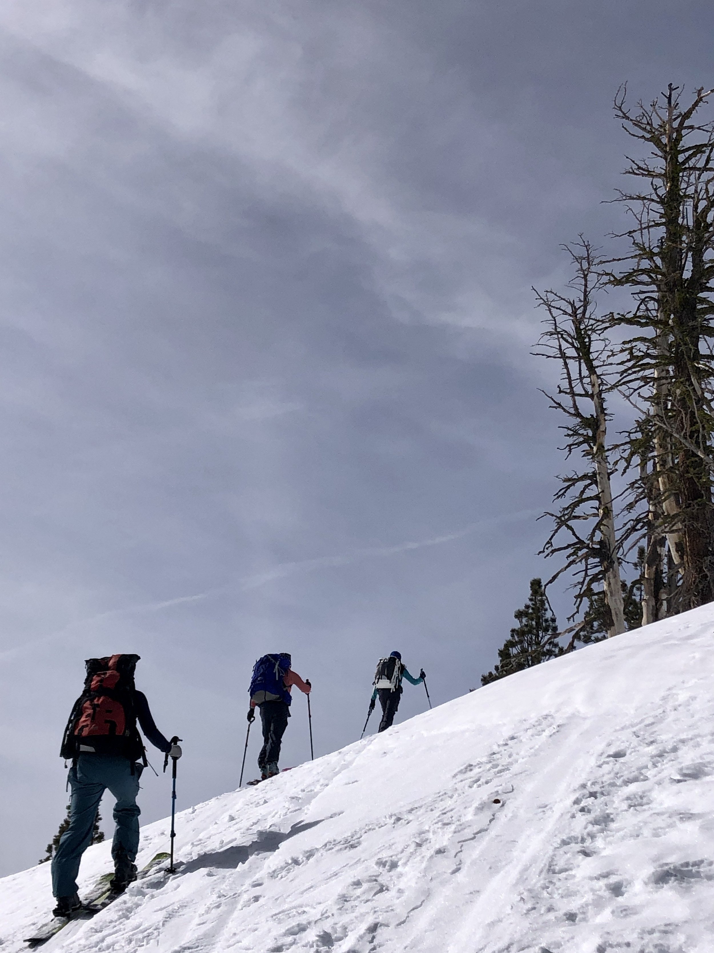 Women Ski Touring Frog Lake Huts