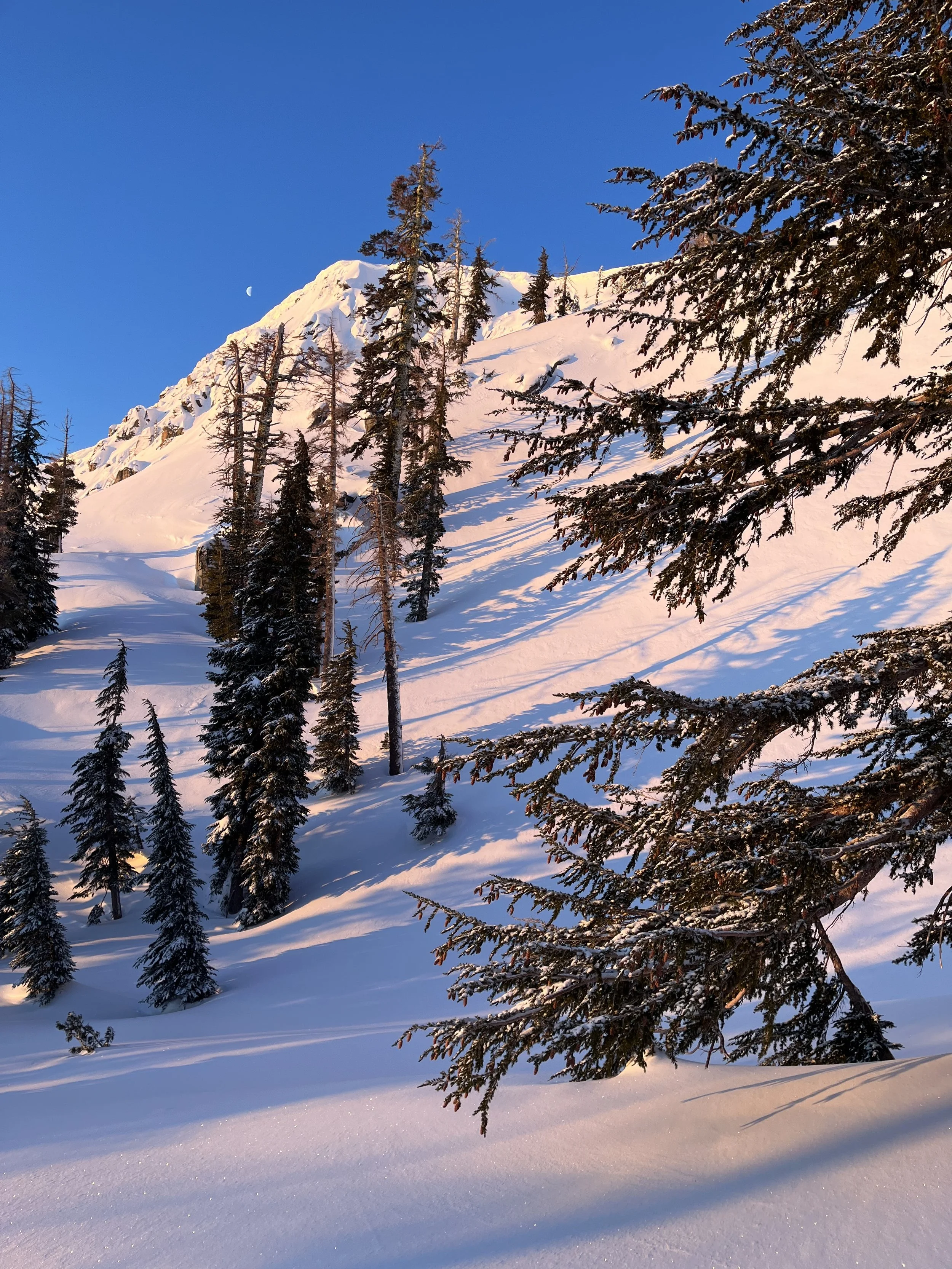 Snow-covered mountain with evergreen trees under a clear blue sky, with a visible moon in the air.