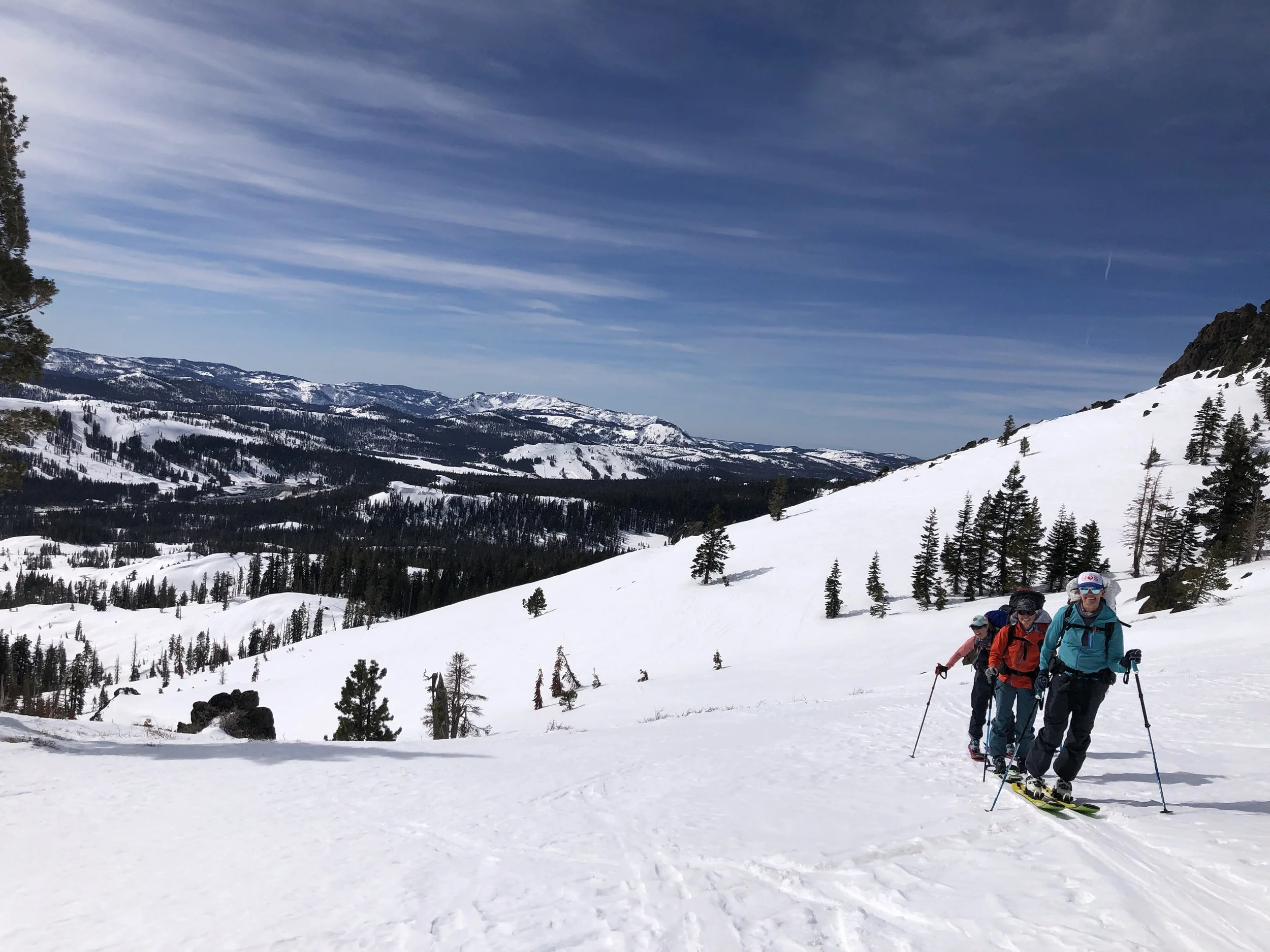 A group of four people skiing in a snowy mountain landscape with pine trees and a blue sky.