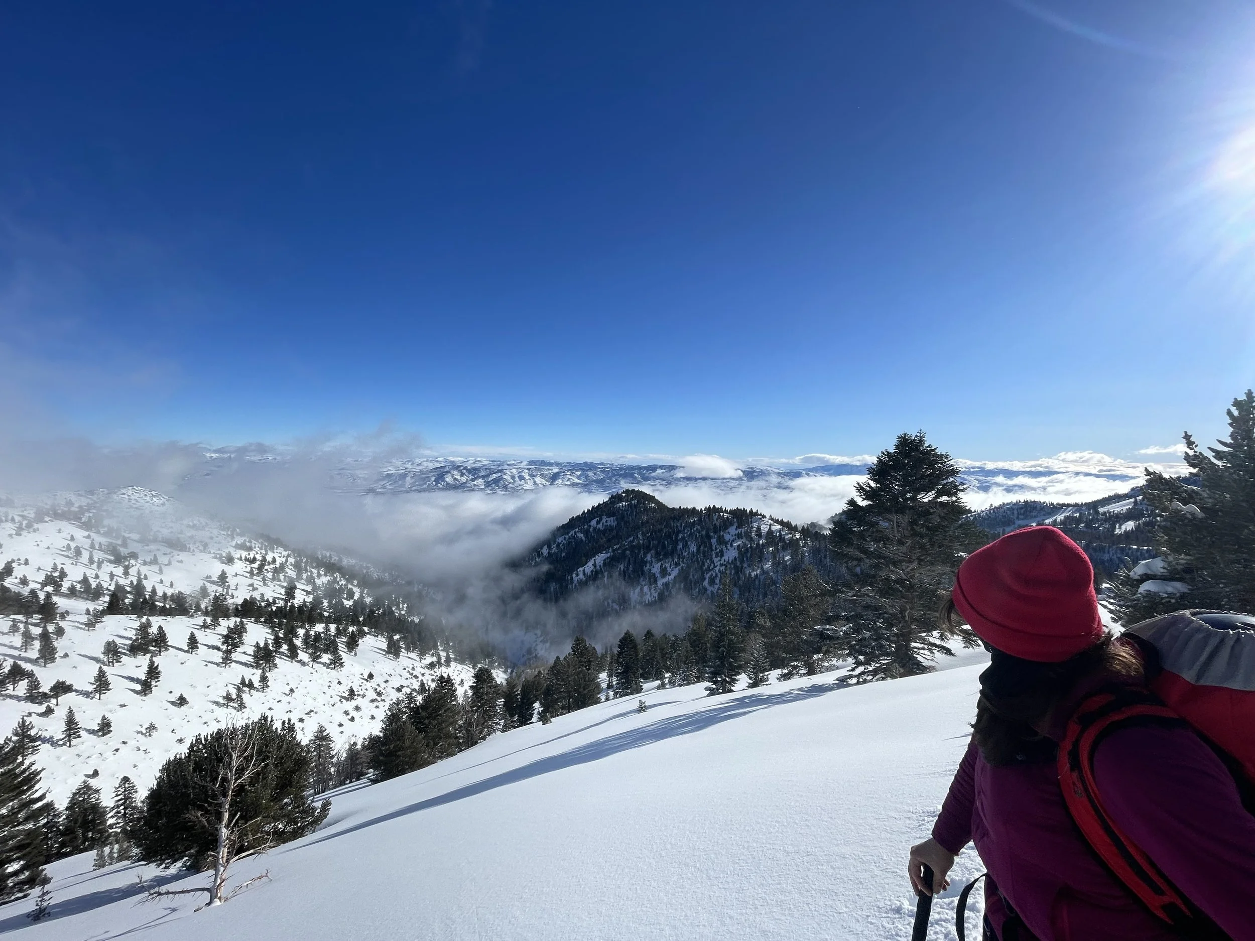 A person wearing a red beanie and purple jacket with a red backpack hiking in snowy mountains under a clear blue sky.