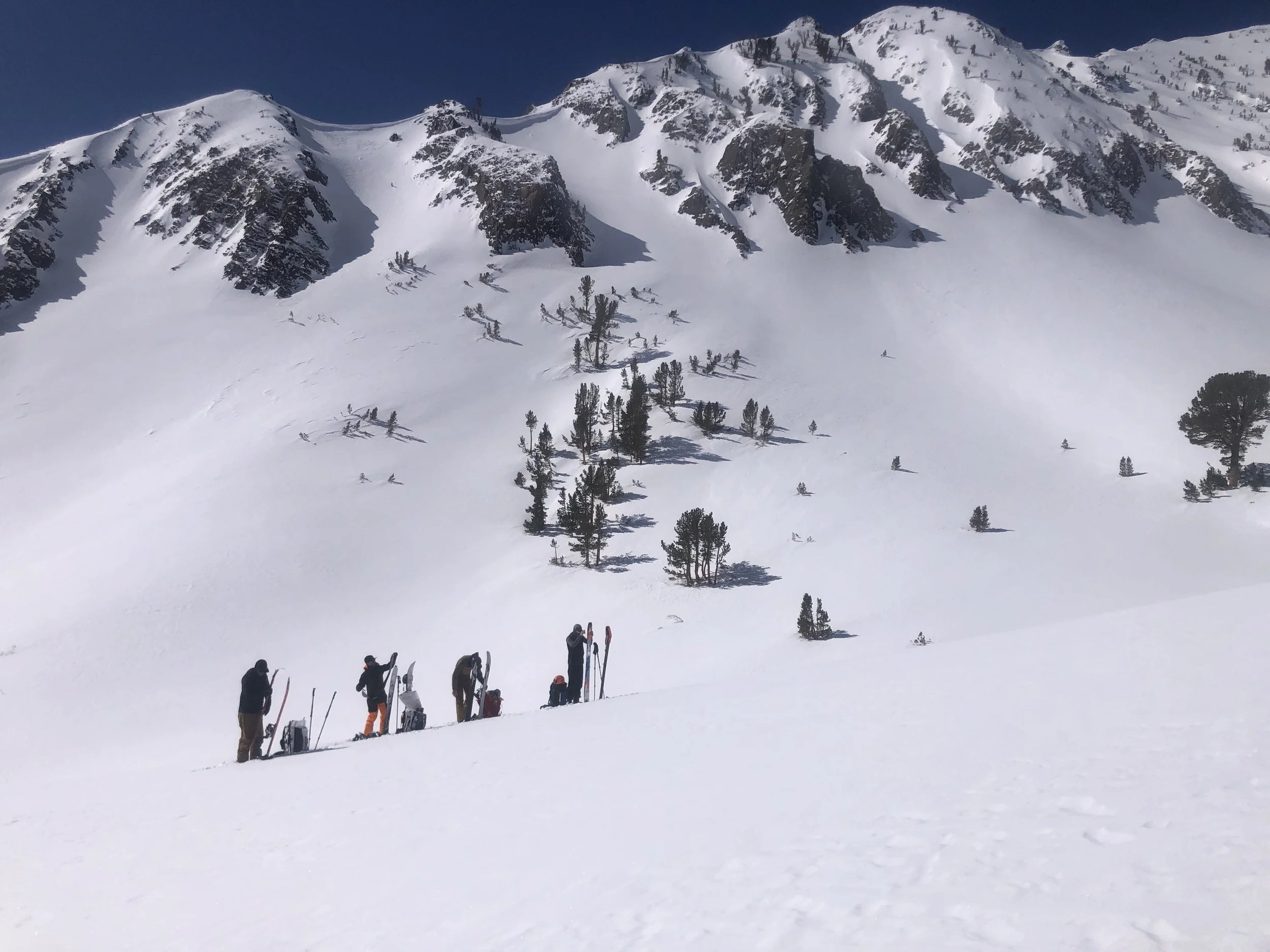 Group of five people with backpacks and skis standing in snow-covered mountain landscape, with snow-capped peaks and sparse trees in the background.