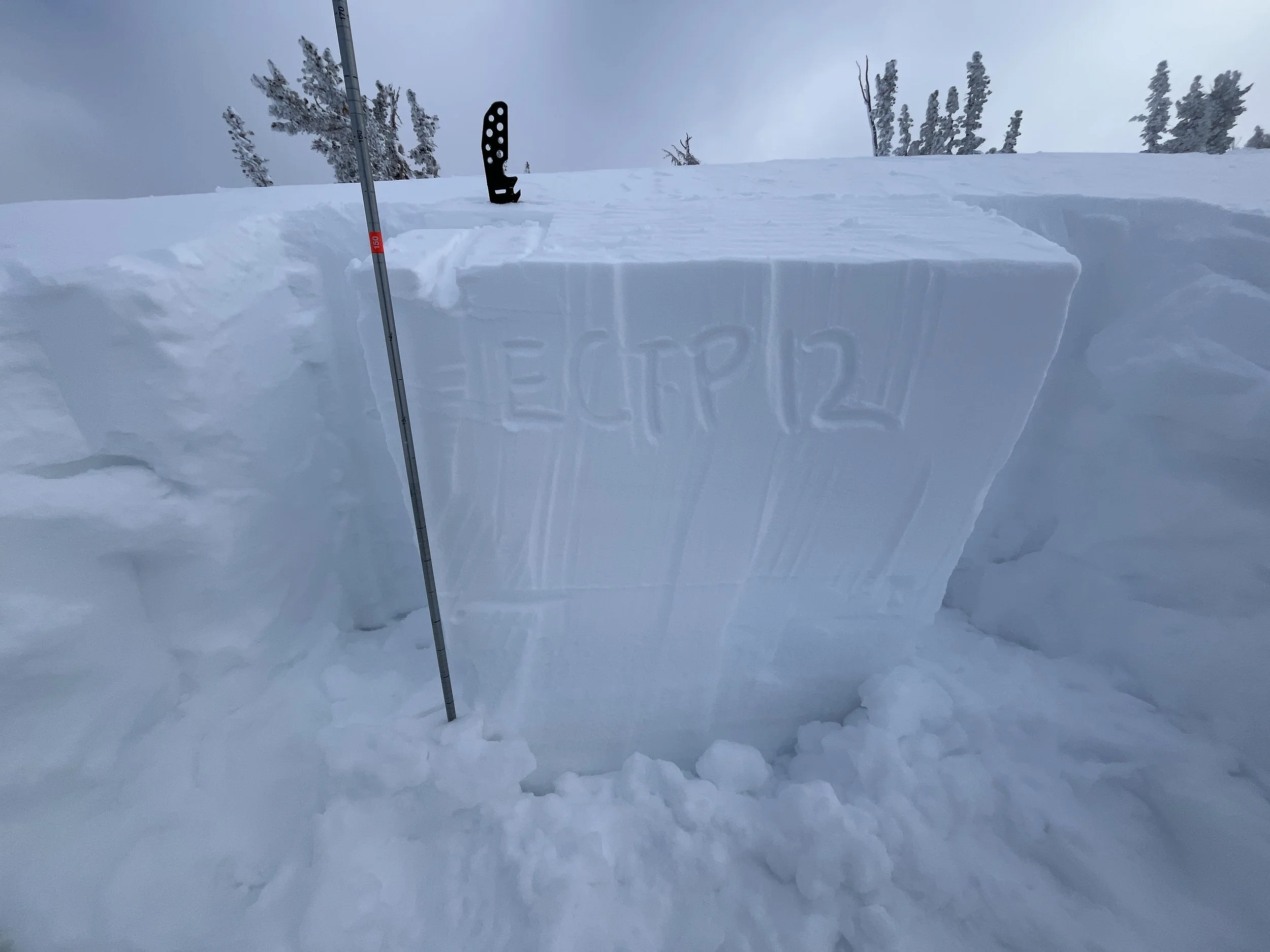 A snow-covered landscape with a carved block of snow and a snow saw standing on top of it. There are snow-covered trees in the background and a cloudy sky.