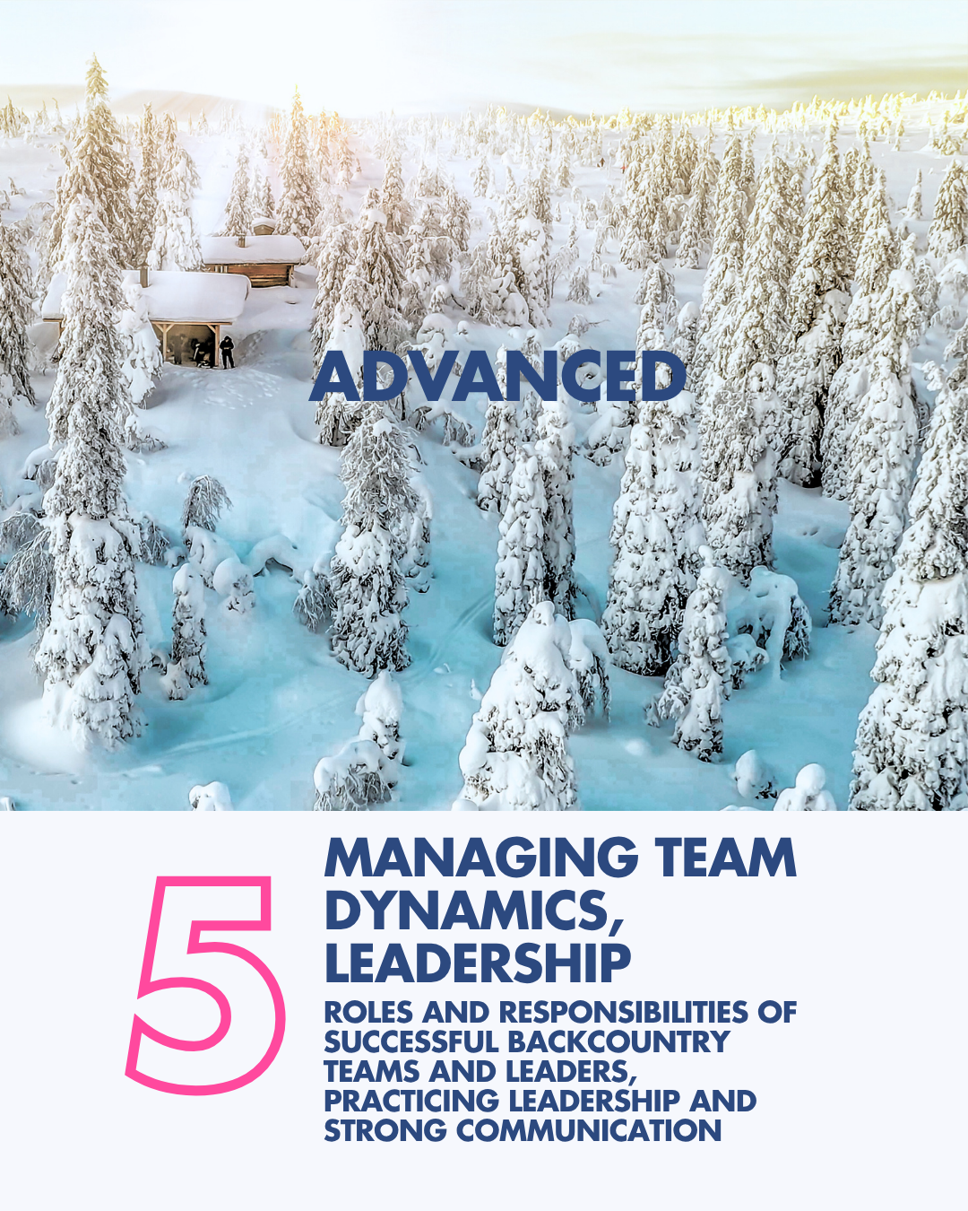 A snowy landscape with tall snow-covered trees, a clear sky, and a few cabins or buildings in the distance, set during daytime.