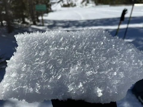 Close-up of a frozen, textured sheet of ice with sunlight reflecting off its surface, in a snowy outdoor setting.