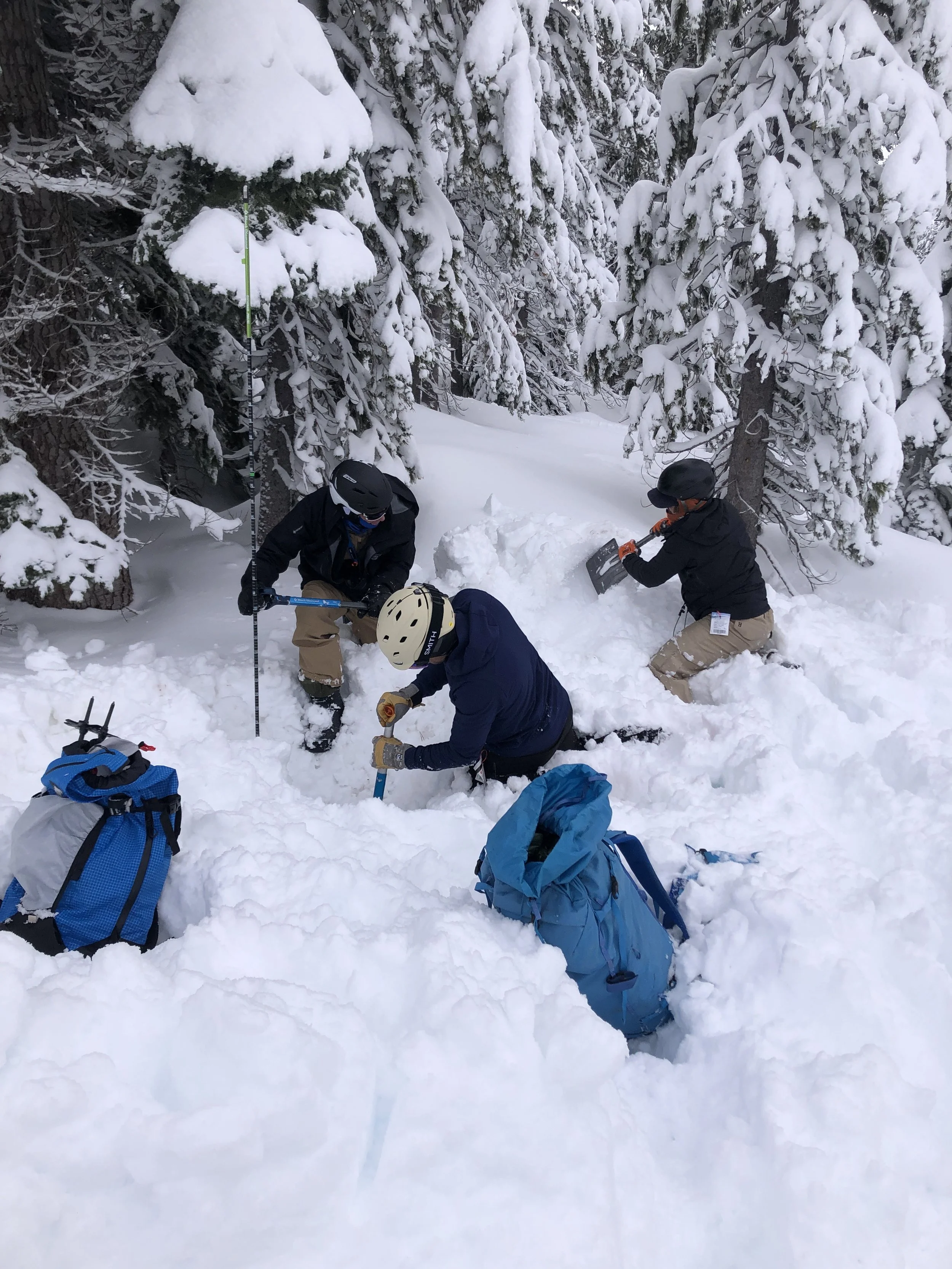 Women's Avalanche Rescue Course - Mammoth