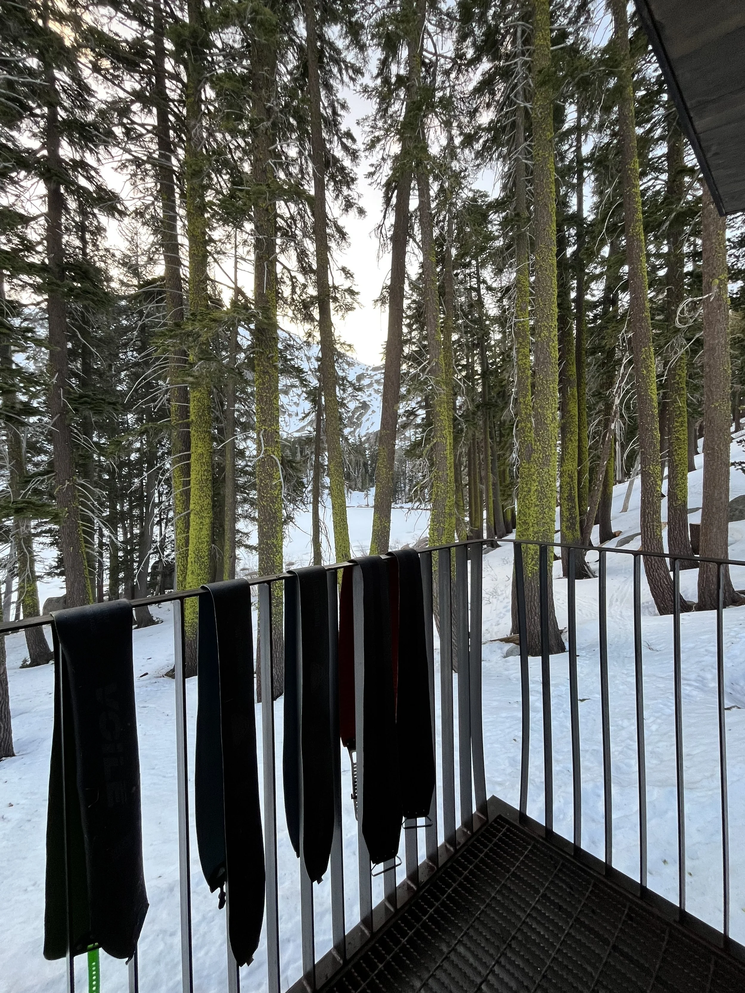 View from a balcony with six skis hanging on a railing, overlooking a snowy forest with tall trees and mountains in the distance.