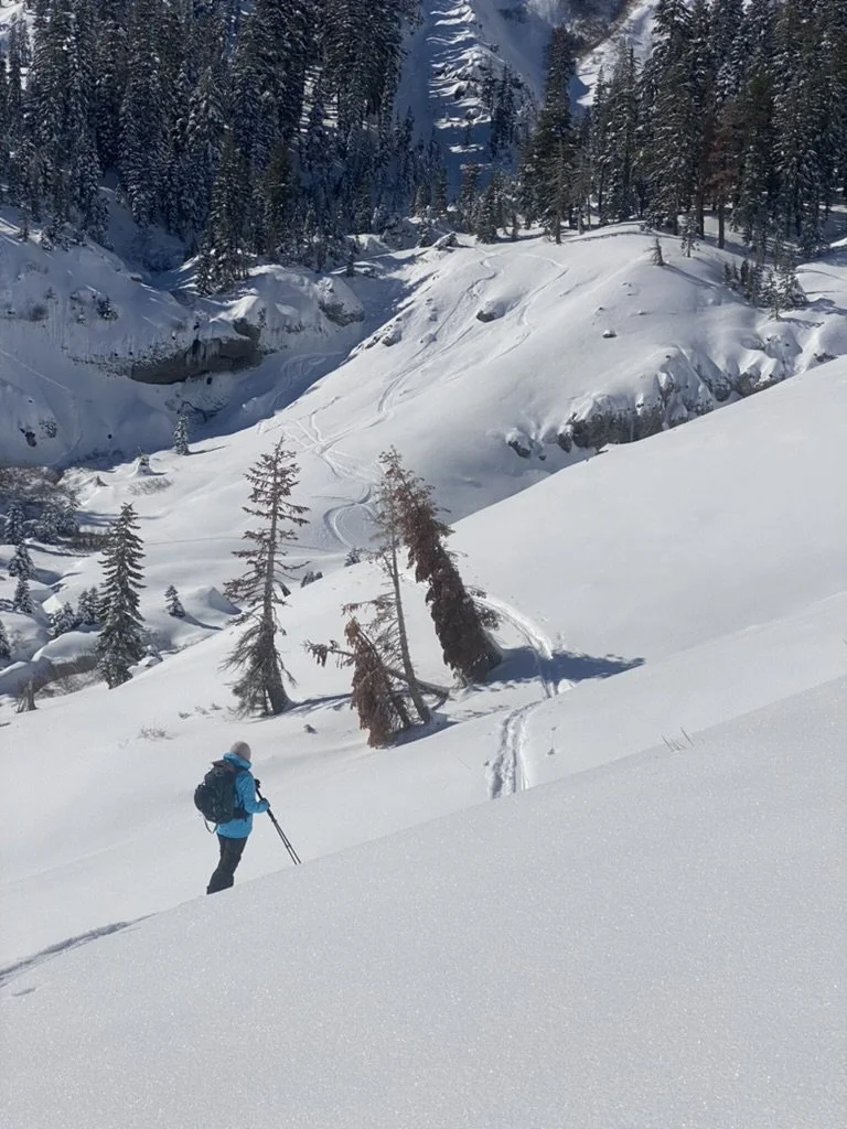 Skier Woman Splitboarder Looks Back At Ski Snowboard Lines Ski Tracks Snowboard Tracks in Snowy Winter Landscape