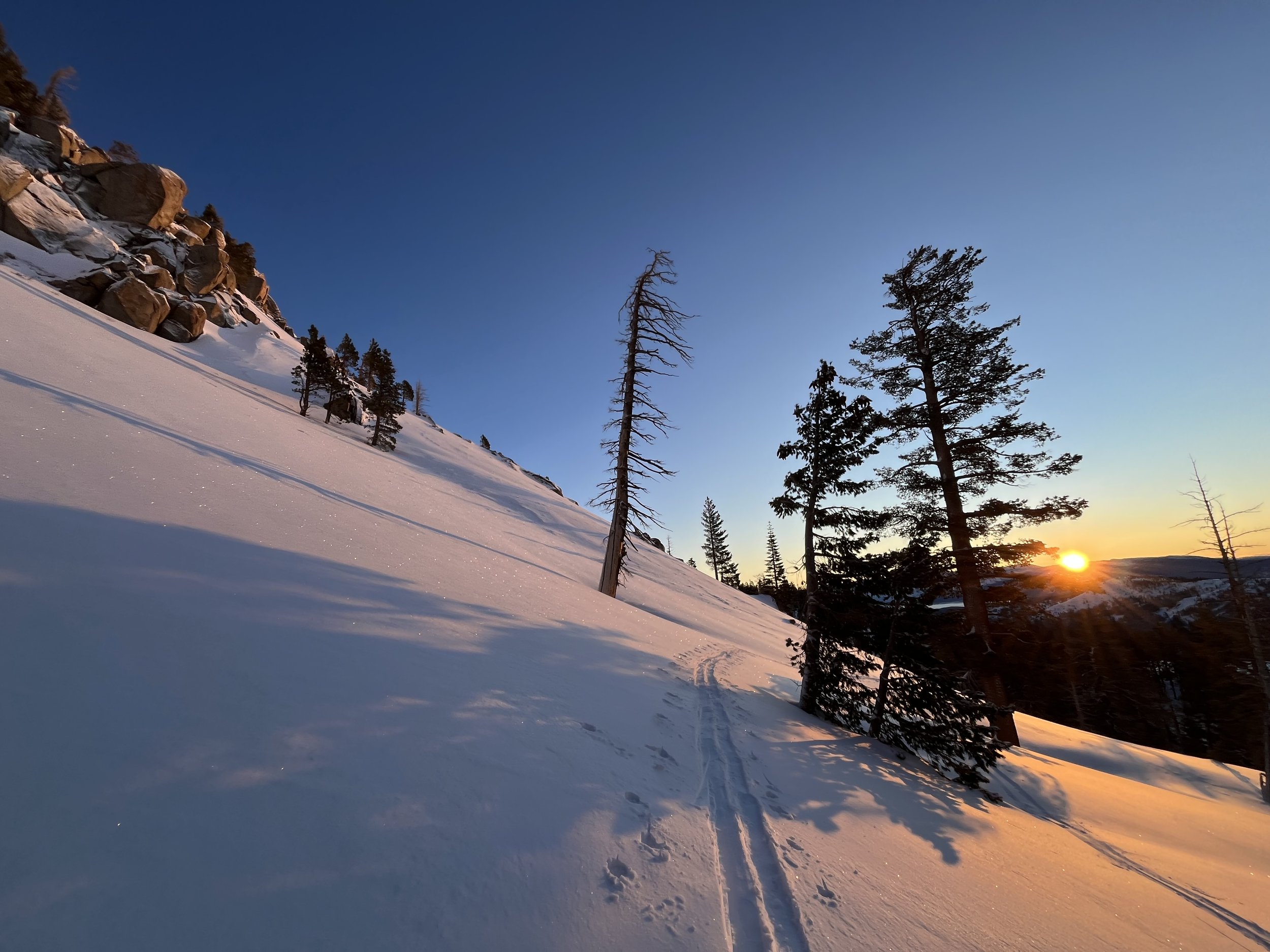 Snow-covered mountain slope at sunset with several pine trees and a dead tree, ski tracks in the snow, and a rocky outcrop on the left side.