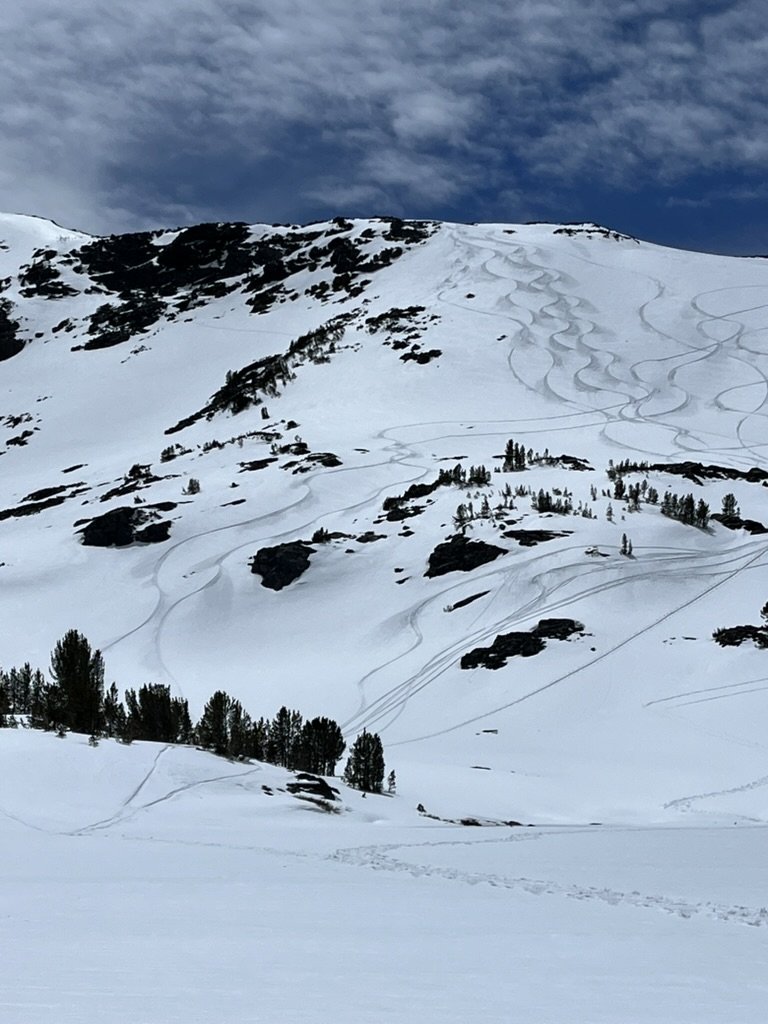 Snow-covered mountain slope with ski tracks and patches of trees.