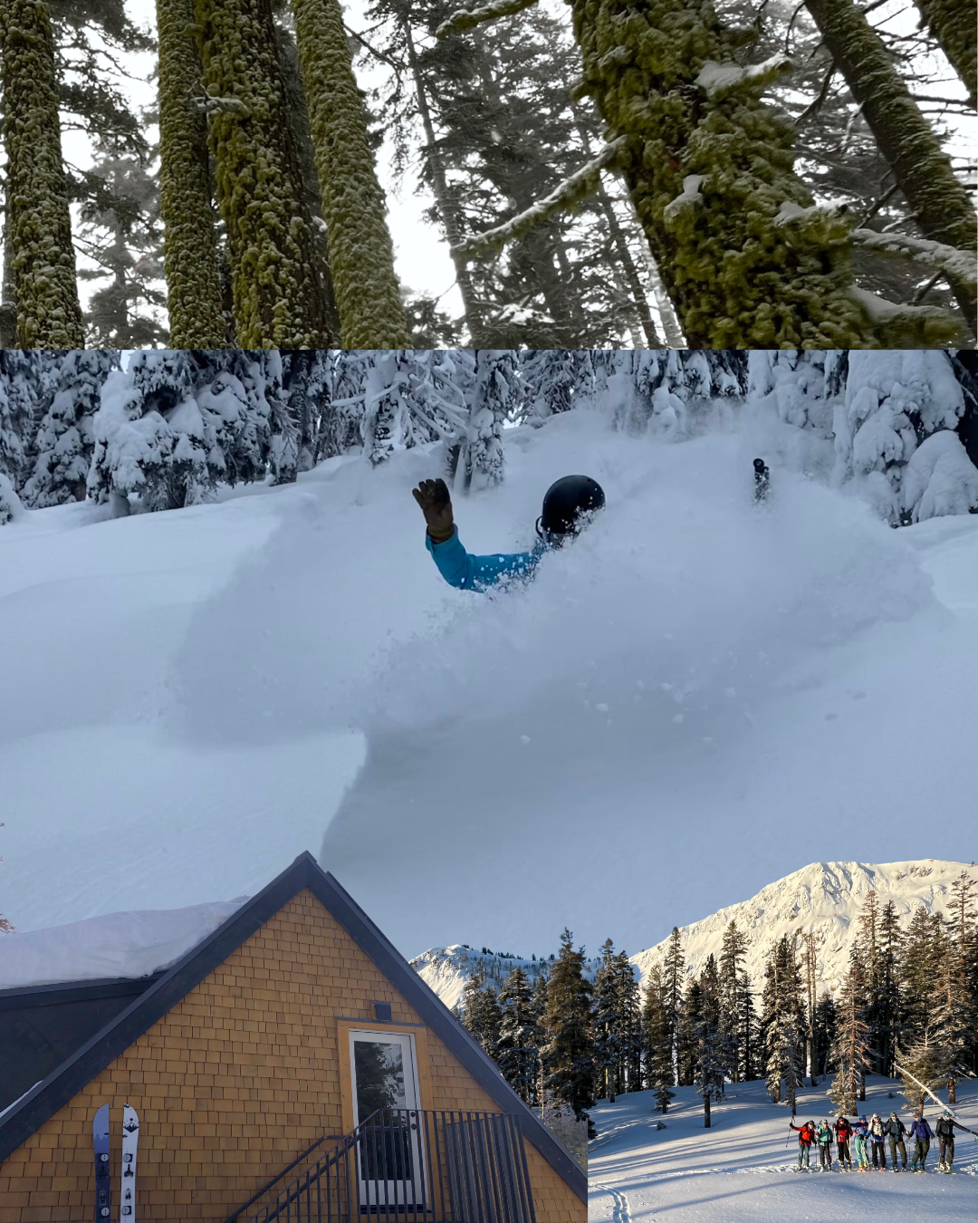 A collage of four images depicting winter scenes: the top shows moss-covered tree trunks in a snowy forest, the middle features a person in winter gear snowboarding down a snow-covered slope, the bottom left displays a yellow house with a small balcony and skis leaning against the wall, and the bottom right captures a group of people in winter clothing standing together in a snowy landscape with pine trees and snow-capped mountains in the background.