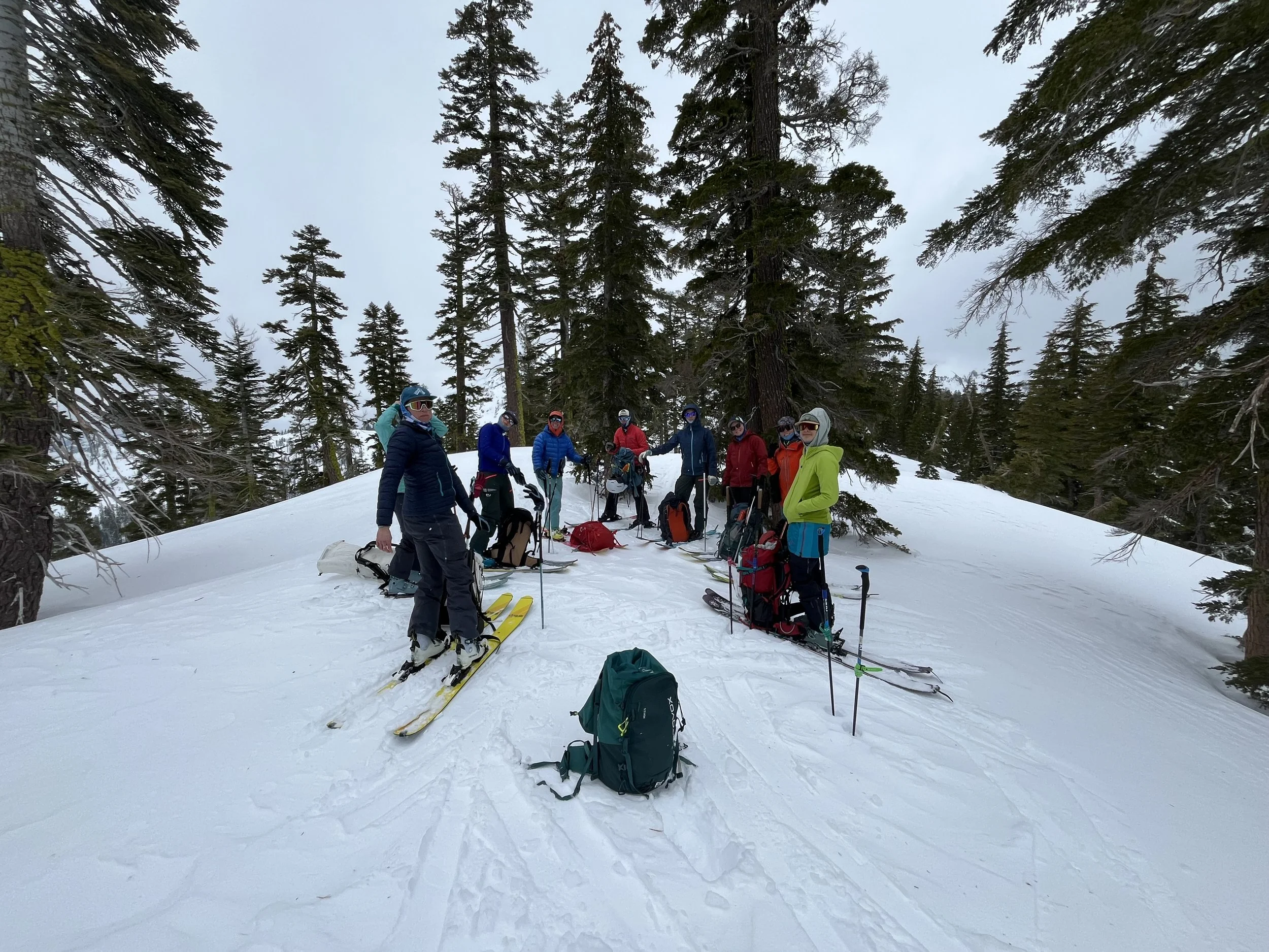 Group of people in winter gear with skis and backpacks standing on snowy slope among tall evergreen trees.