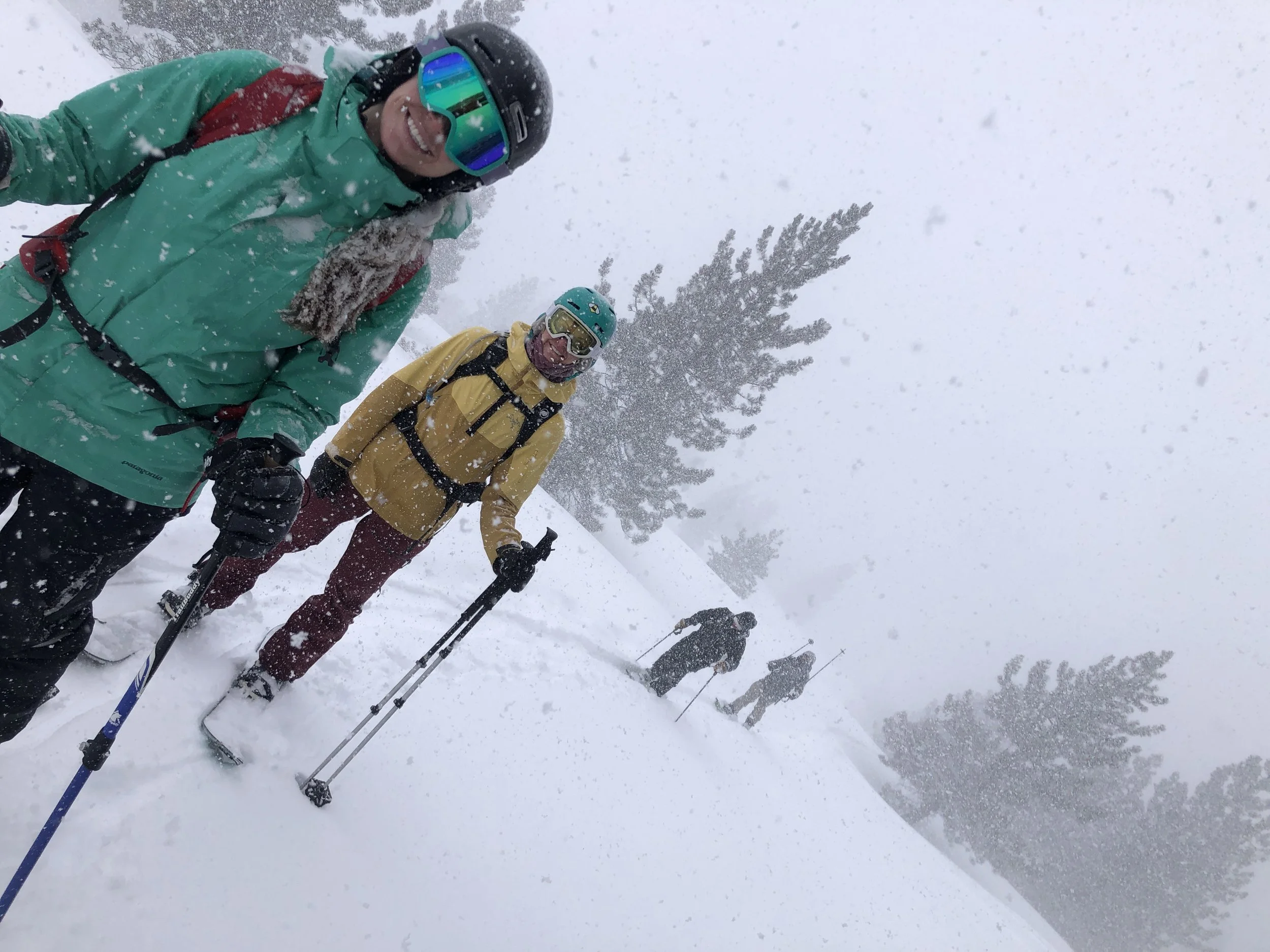 Group of four people snowshoeing in heavy snowfall on a snowy mountain trail, with snow-covered trees in the background.