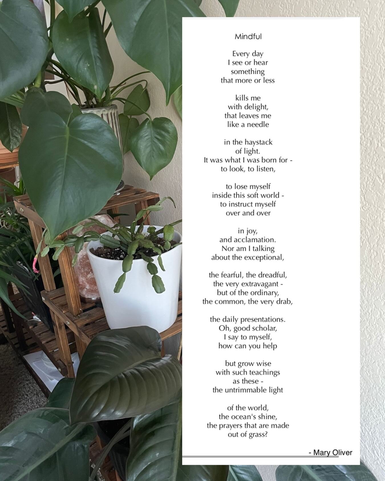 Last week at I taught my Thursday night Evening Flow Yoga class with the theme of Santosha ~ a Niyama, the Sanskrit word for contentment.

Yoga can feel a lot like striving sometimes. Like you have to be flexible enough, or hold a pose for a a certai