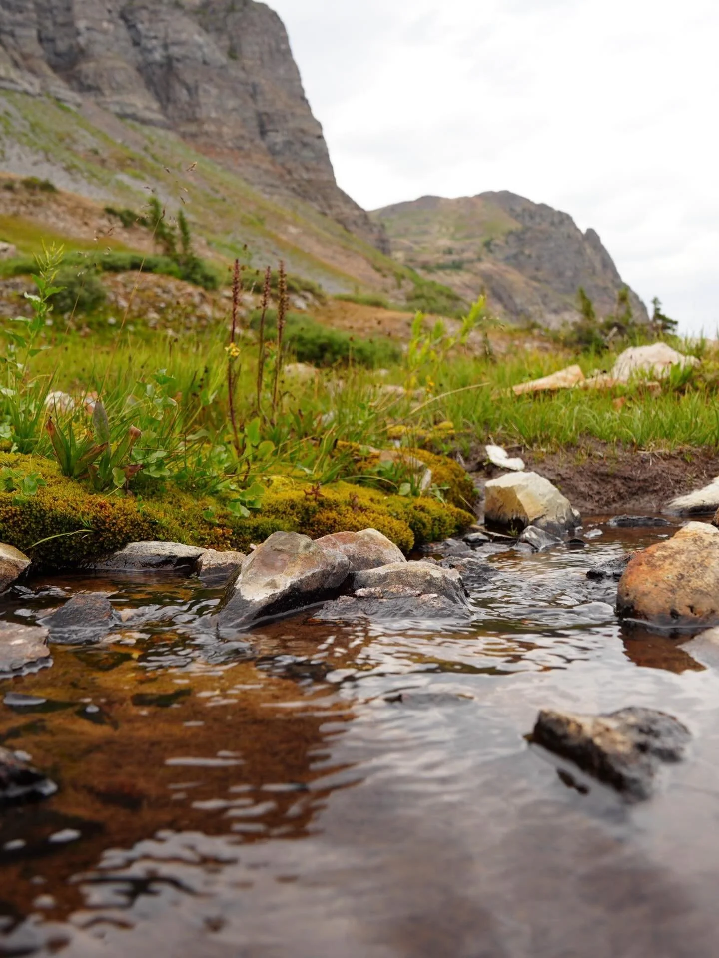 Reminder to take a deep breath and relax your shoulders. Take 10 minutes for some mindful movement. Check in with yourself, where are your thoughts, how does your body feel? 

What does your body need today? How can you bring your thoughts to the pre