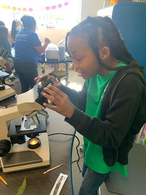 Classroom | STEAM Supplies