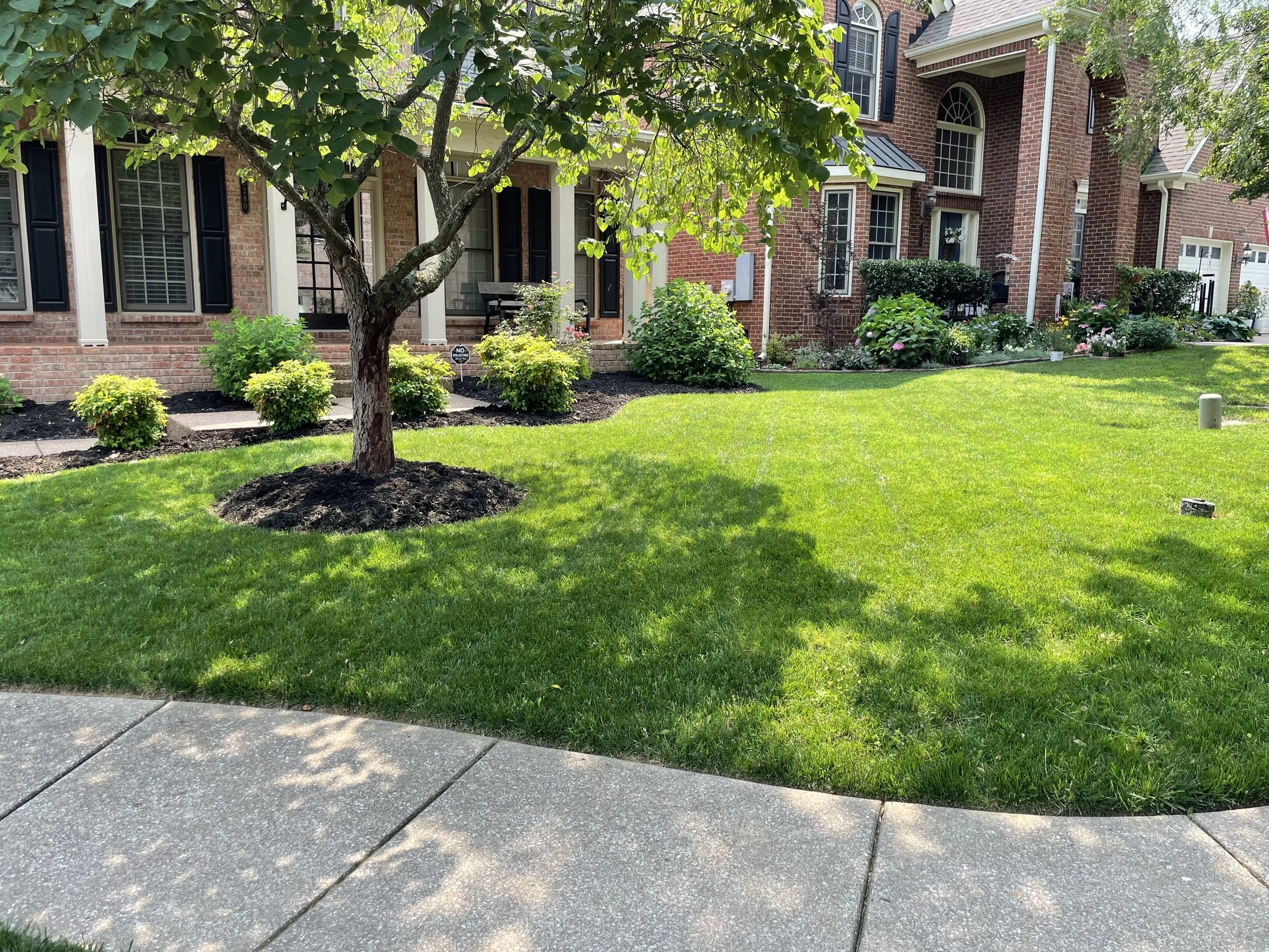 Front Yard 2.jpg