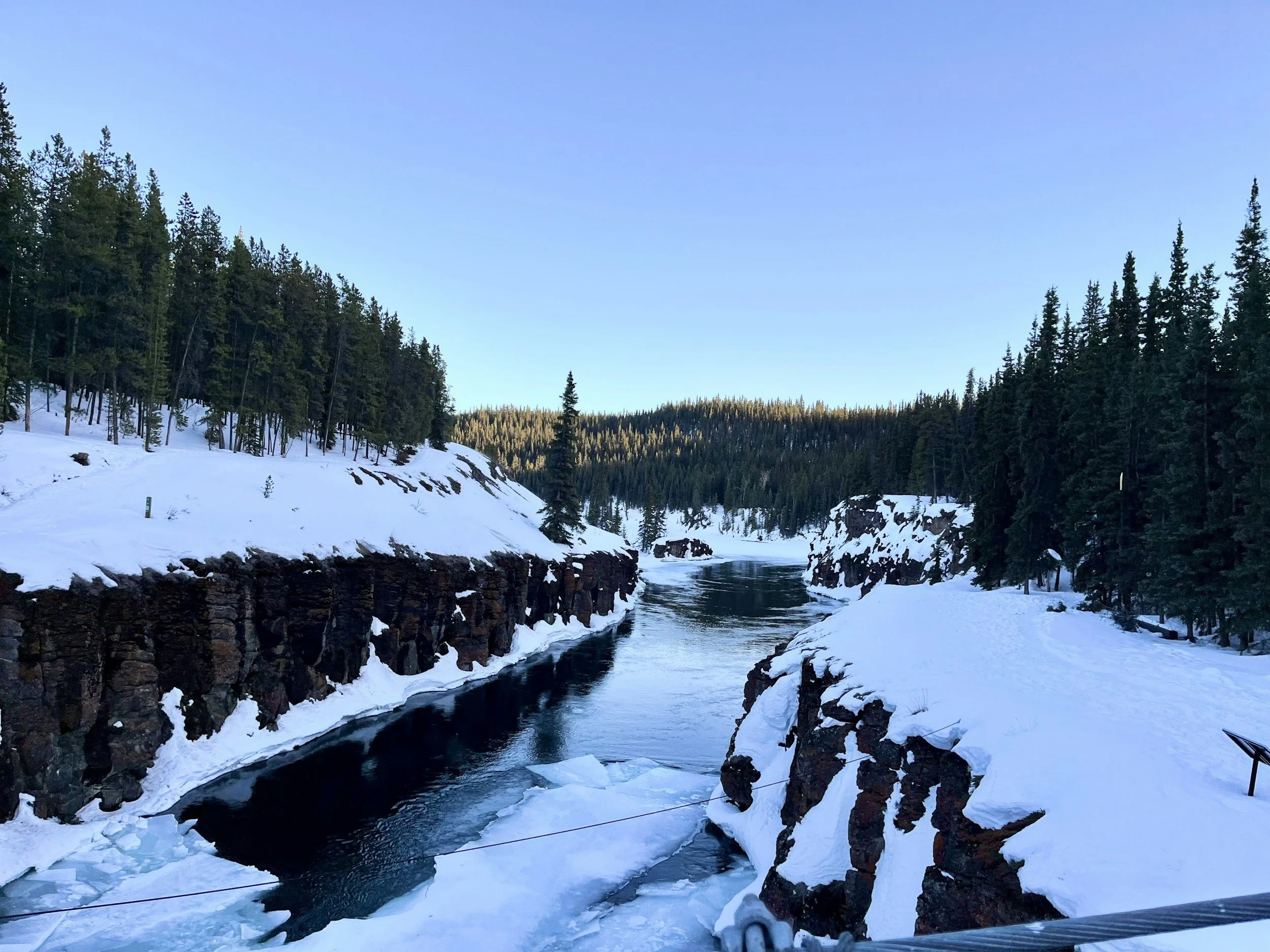 Snow-covered landscape with a river flowing through a forest of tall pine trees under a clear blue sky.