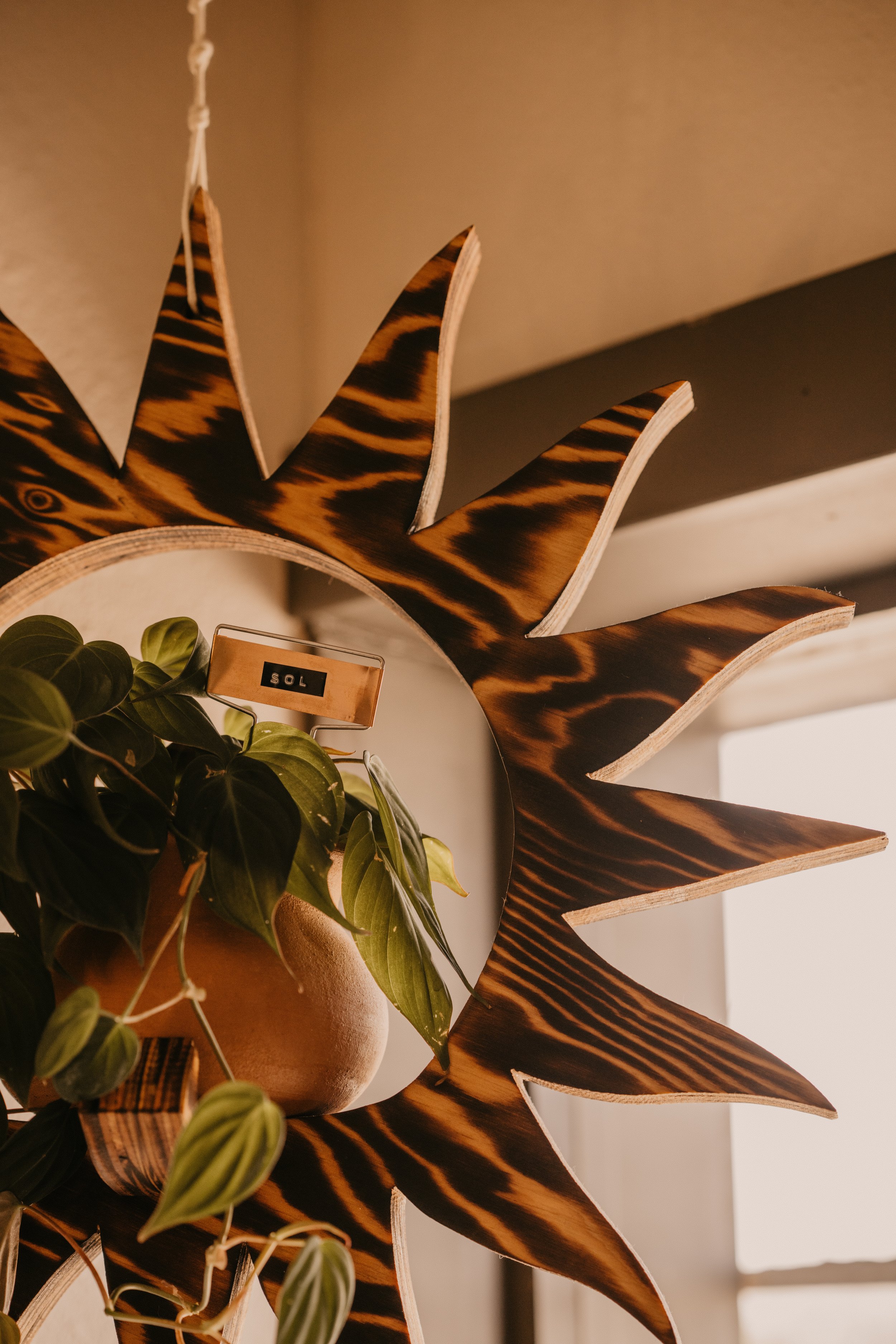 the sun shines through Casa Hogar office window shining on hanging sun plan with name label sol