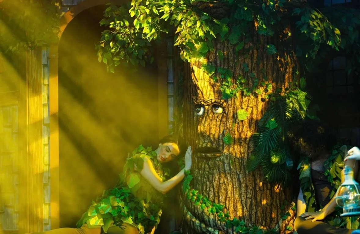 ✨🌲 Only ONE show left! 🌲✨

Meet Oakley, wise and old,
Whose leafy heart sparked tales untold&mdash;
The tree that lit the world with cheer,
The start of Christmas, year by year.

🎄 BELIEVE &mdash; the original Australian Christmas musical
📍 The C