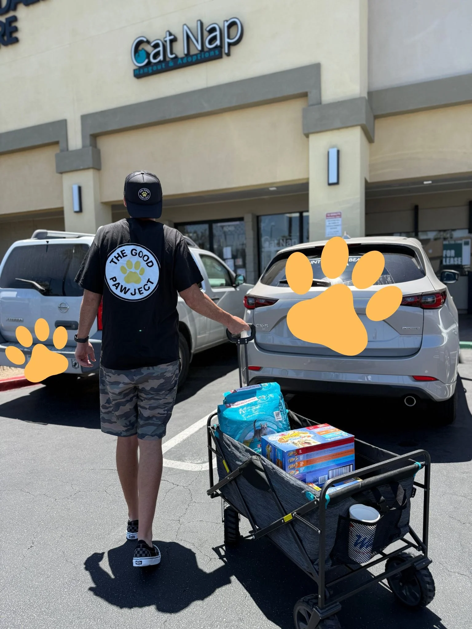 Visit CatNap Hangout:
https://catnaphangout.org/