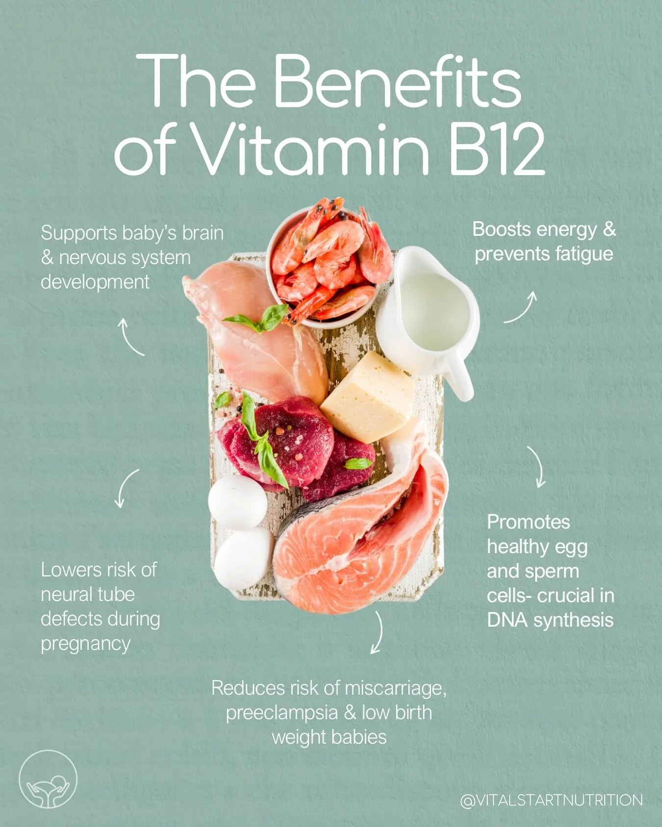 🧬 Why Vitamin B12 matters for fertility, pregnancy &amp; early childhood 👶💥⁠
⁠
Top sources? Animal-based foods like meat, eggs, dairy &amp; fish 🥩🥚🐟⁠
⁠
🚨 At risk of deficiency ➡️ Vegans, or anyone with gut inflammation or past surgery in their