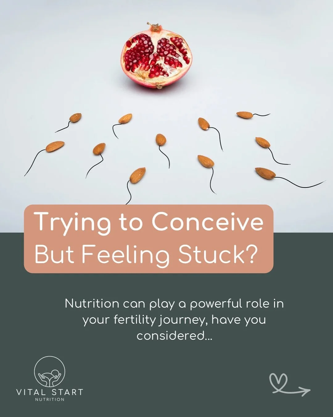 ✨ Trying to conceive but feeling stuck? ✨

Fertility is about so much more than just timing. The right nutrition strategy can address key factors like egg quality, uterine lining, cervical mucus, hormone balance, and insulin resistance, all of which 