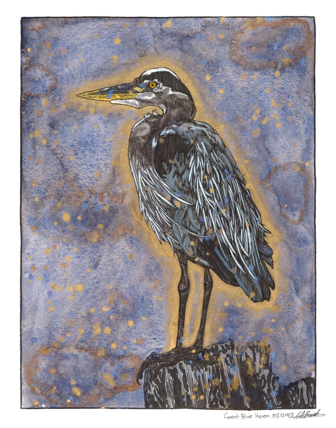 Great Blue Heron. Ink and watercolour on paper 11"x14" 
2025