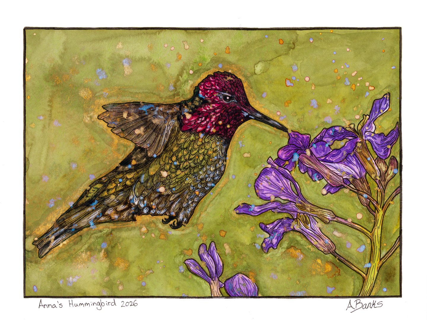 Anna's Hummingbird.
Ink and watercolour on paper 12"x9"
2026