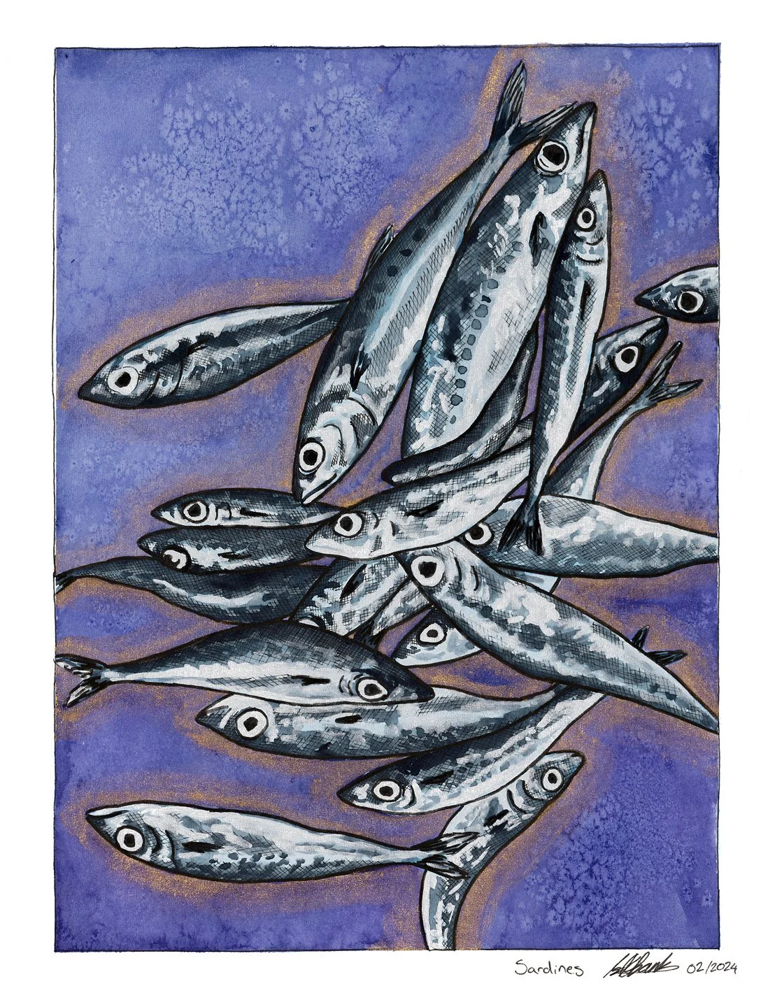 Sardines.  Ink and watercolour on paper 11"x14" 
2024
