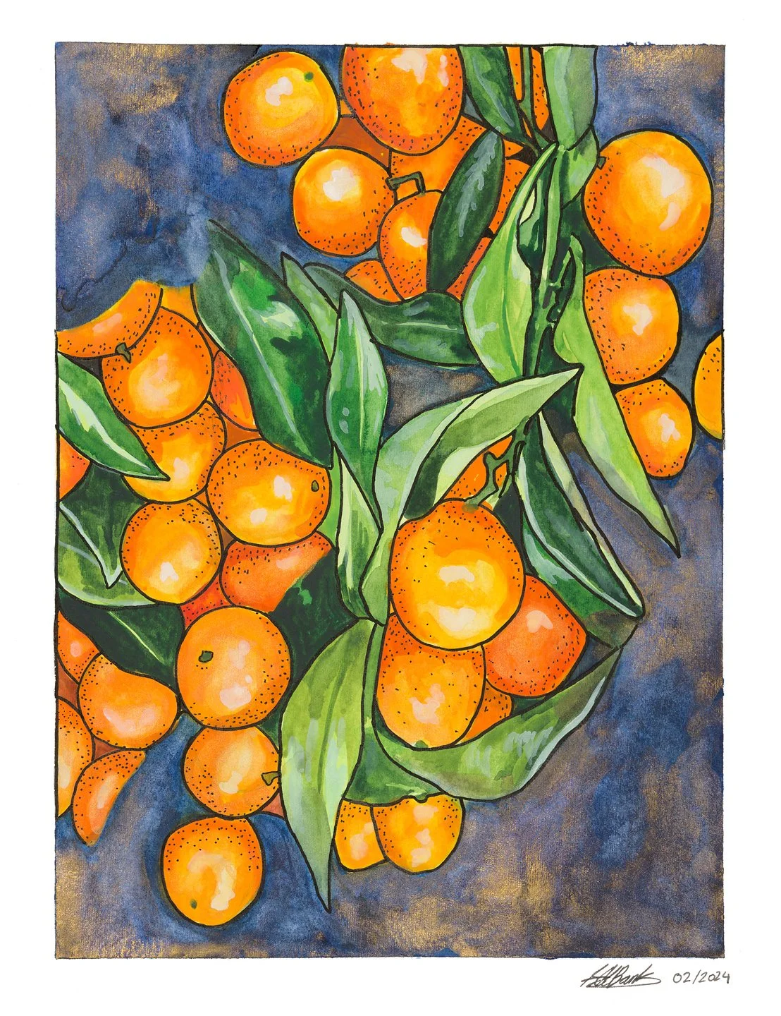 Oranges. Ink and watercolour on paper 11"x14" 
2024