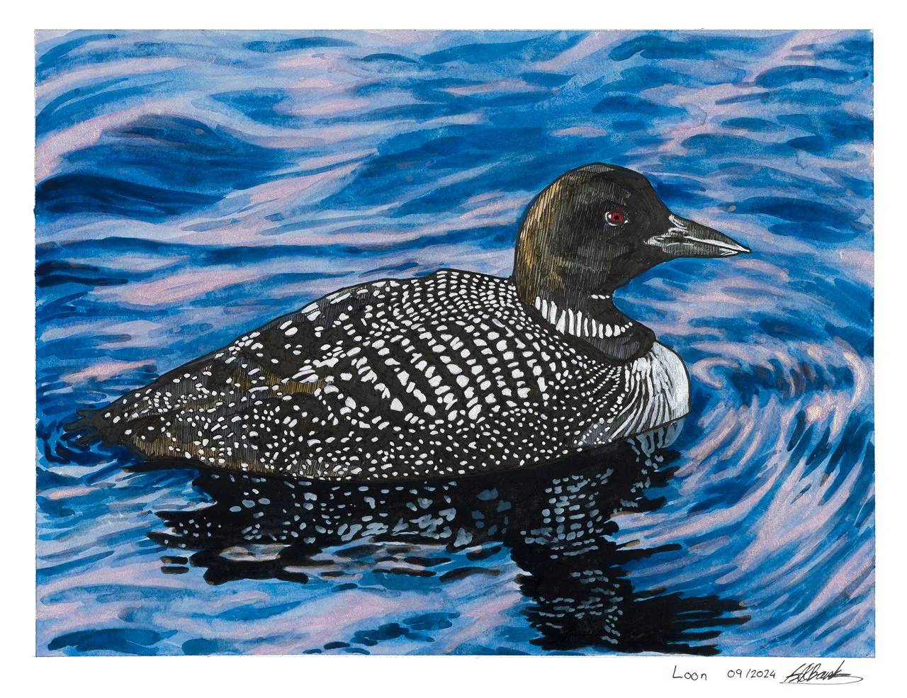 Loon. Ink and watercolour on paper 14"x11" 
2025