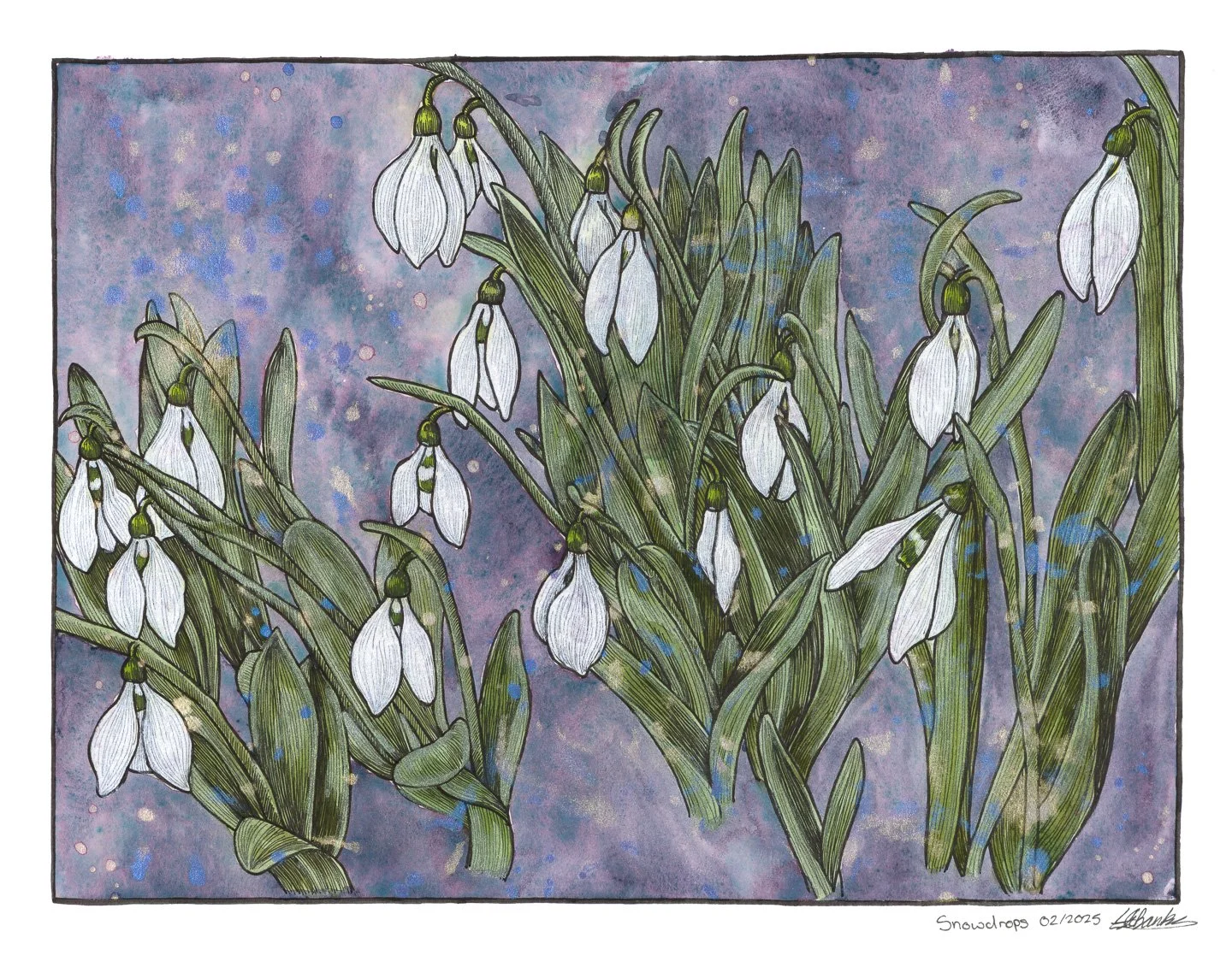 Snowdrops. Ink and watercolour on paper 14"x11" 
2025