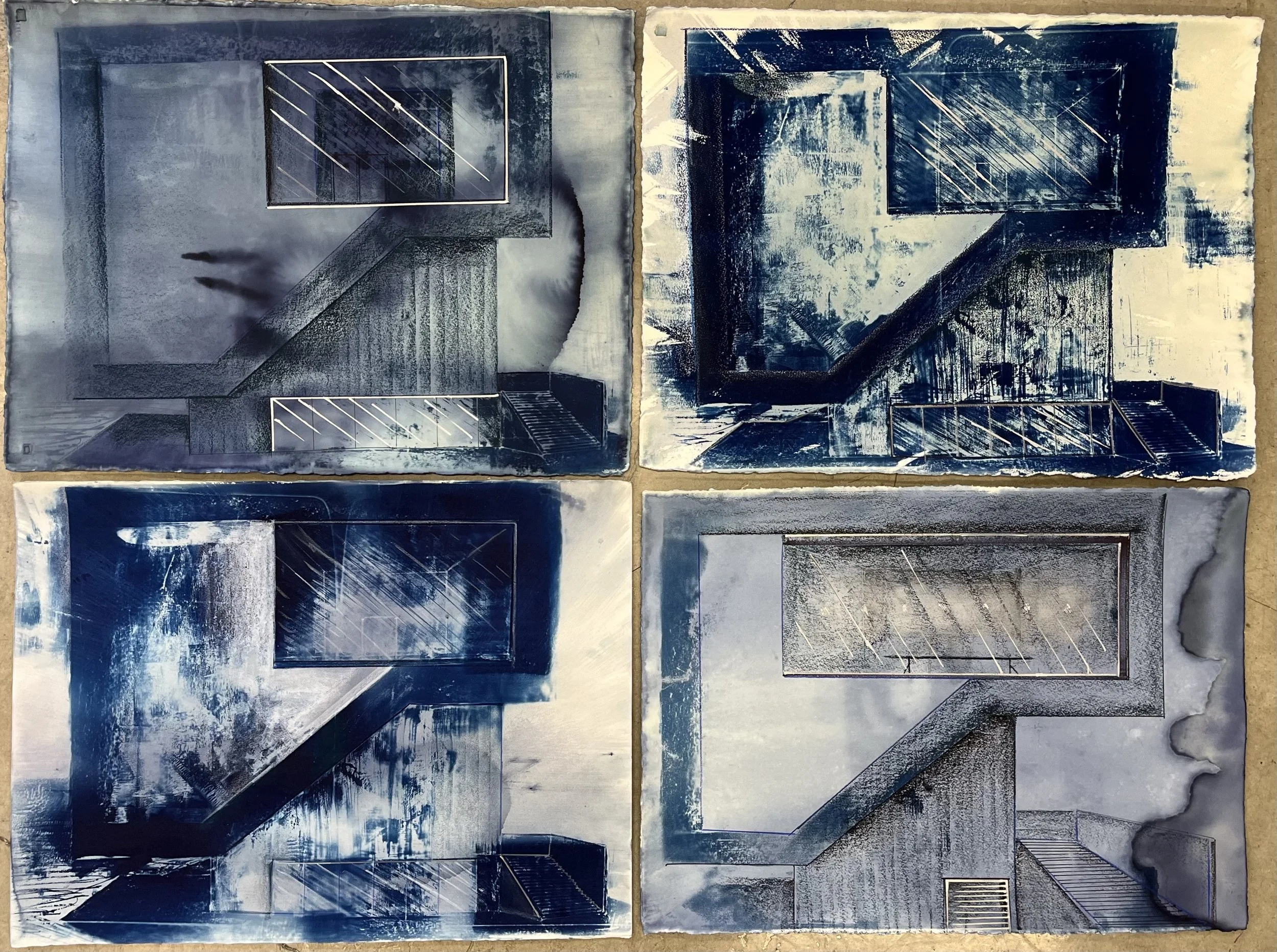 Office Install View , 2025  Unique Cyanotypes, hand drawing additions  48” x 62”
