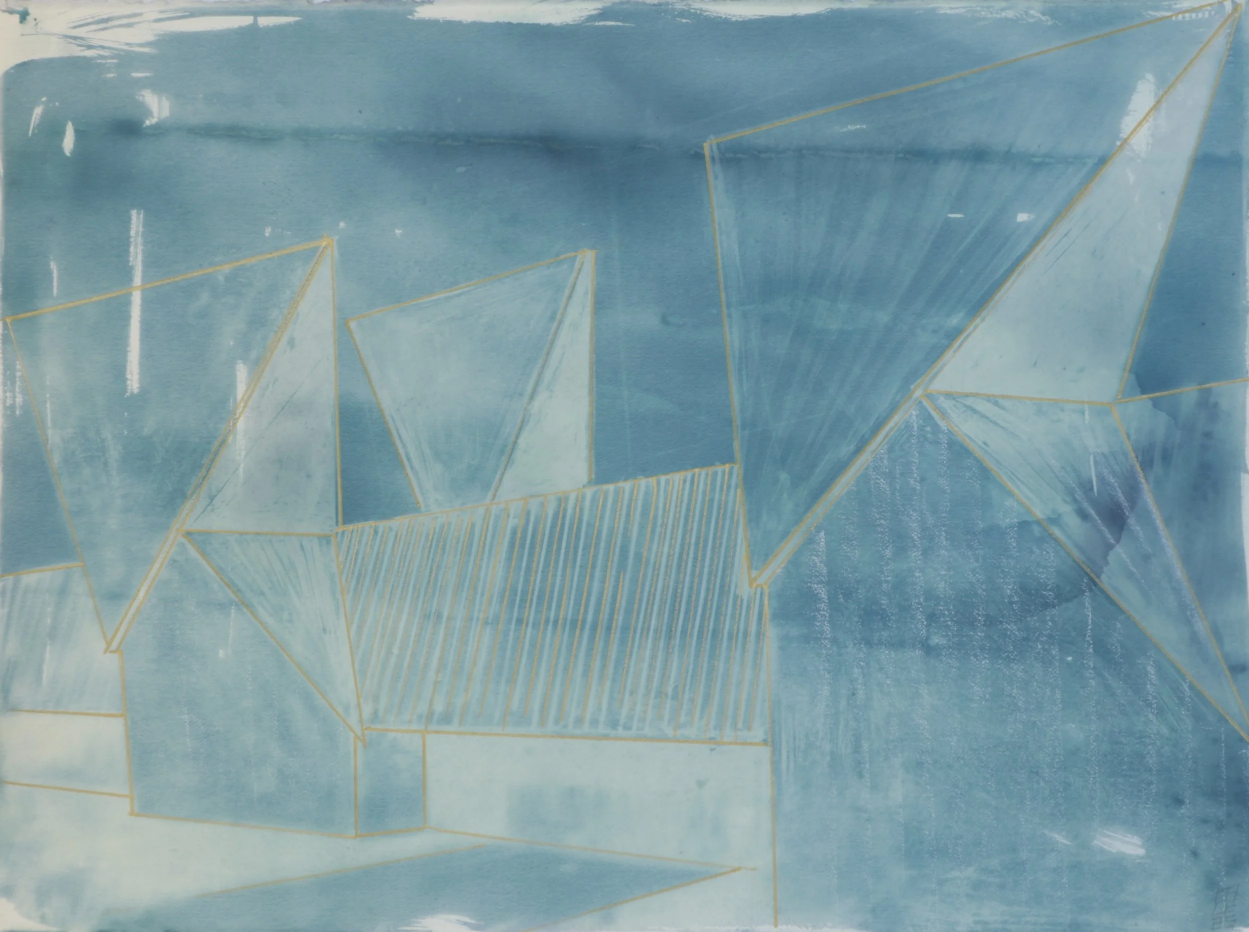  Birds’ Mouths I ,   2024 14 ½” x 30” Cyanotype with Pen   