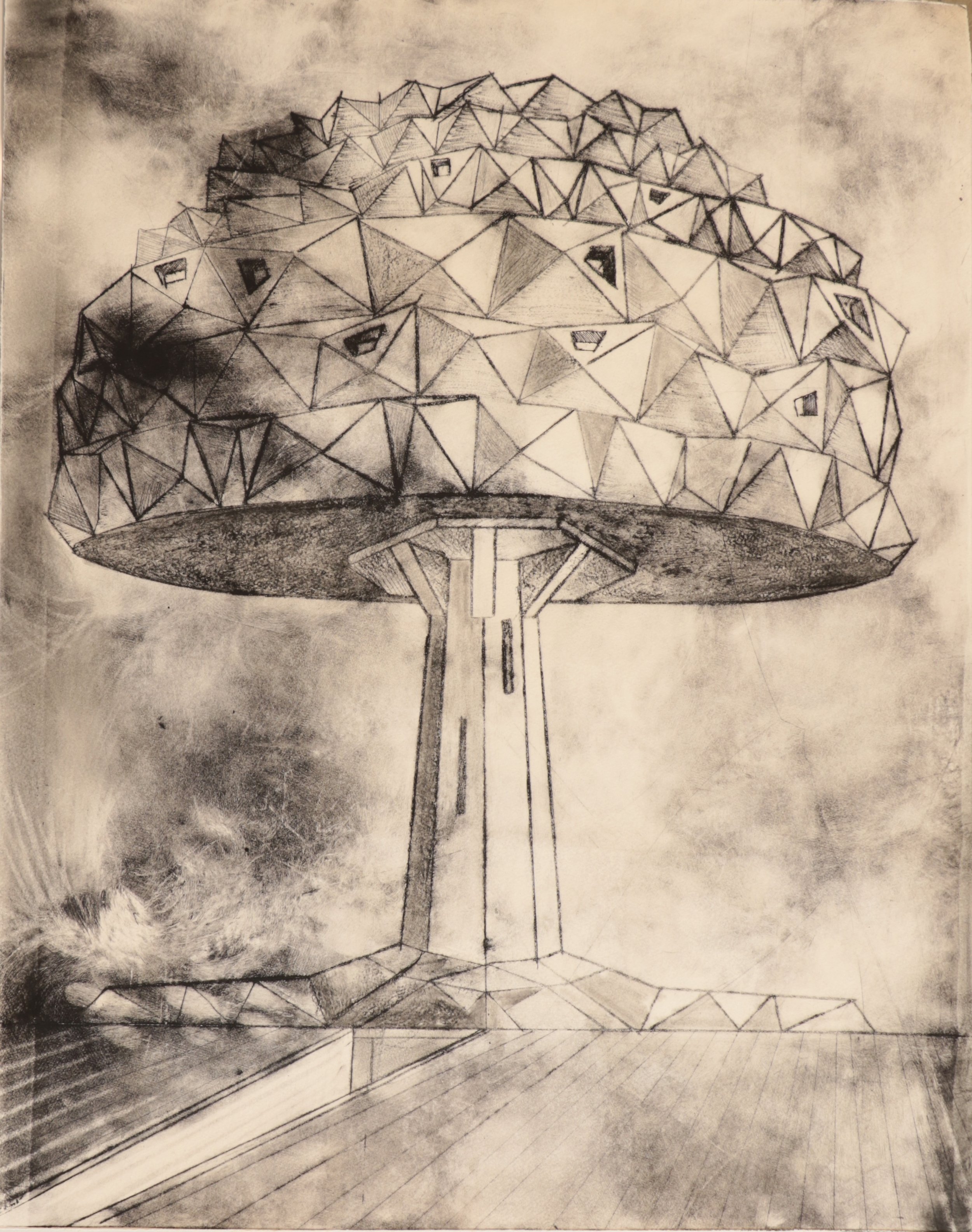   Mushroom - Grey State , 2024 30” x 23 ½” Drypoint 