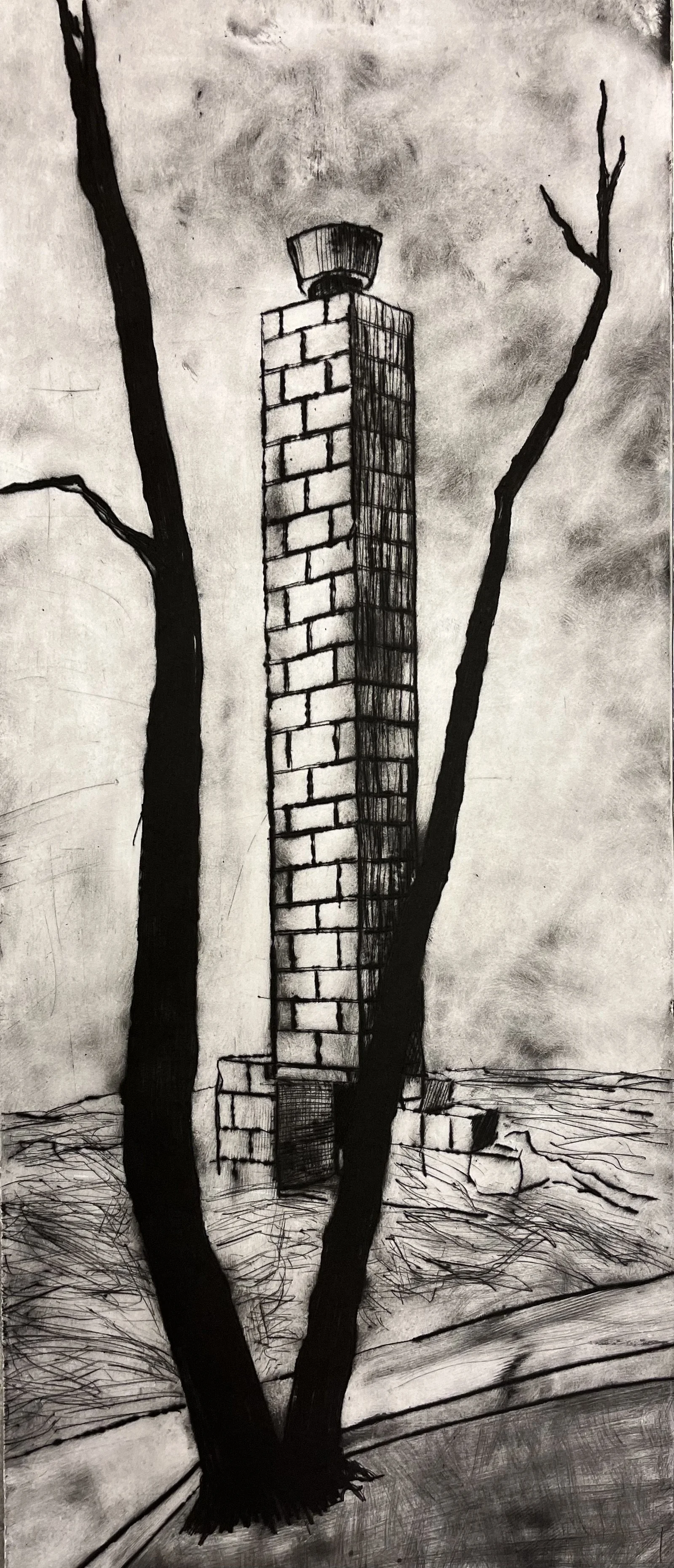 Altadena Aftermath - Black State,  2024 37 ½” x 16” Drypoint
