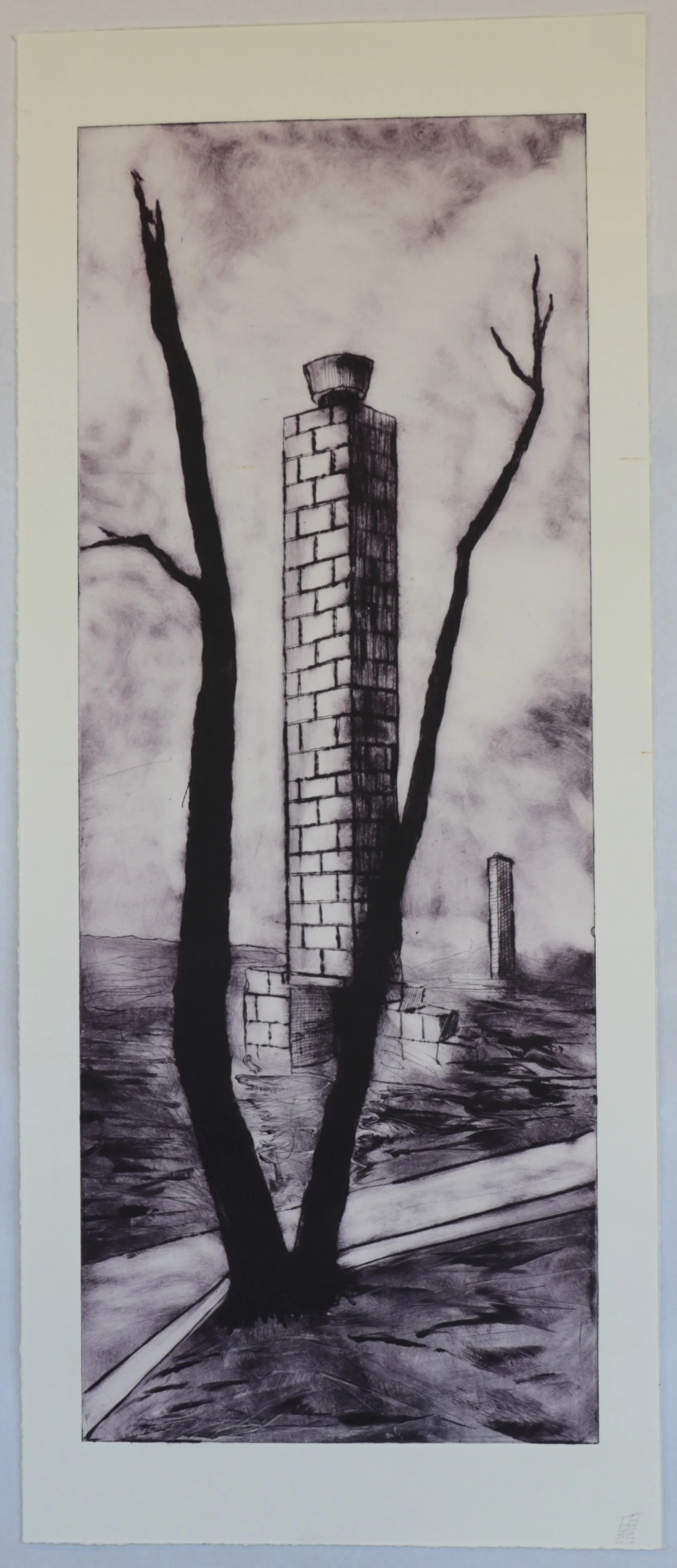   Altadena Aftermath - Violet State , 2024 37 ½” x 15 ½” Drypoint 