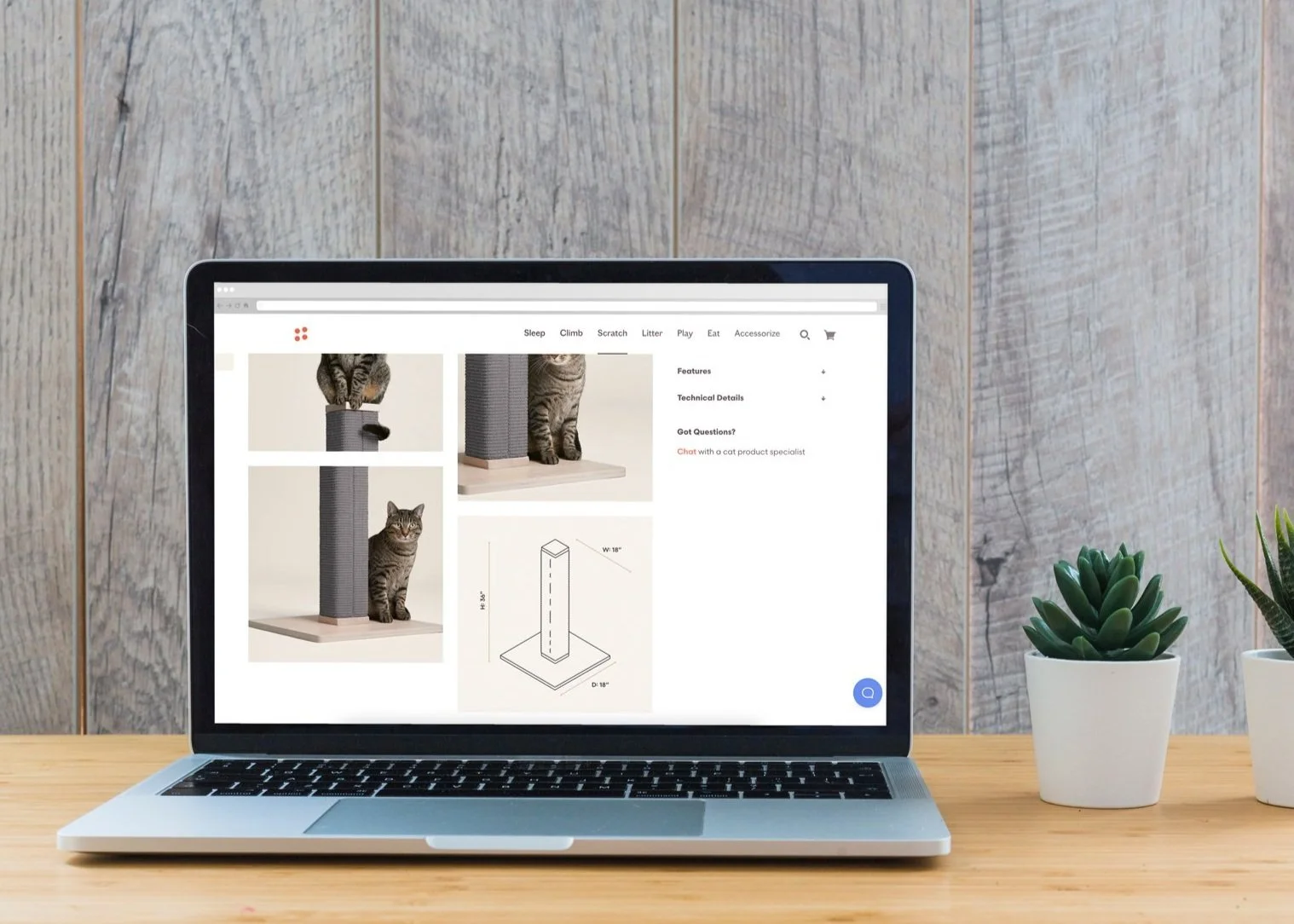 Laptop on a wooden desk displaying a webpage about a cat scratching post, with two potted succulents beside it, against a wooden wall background.