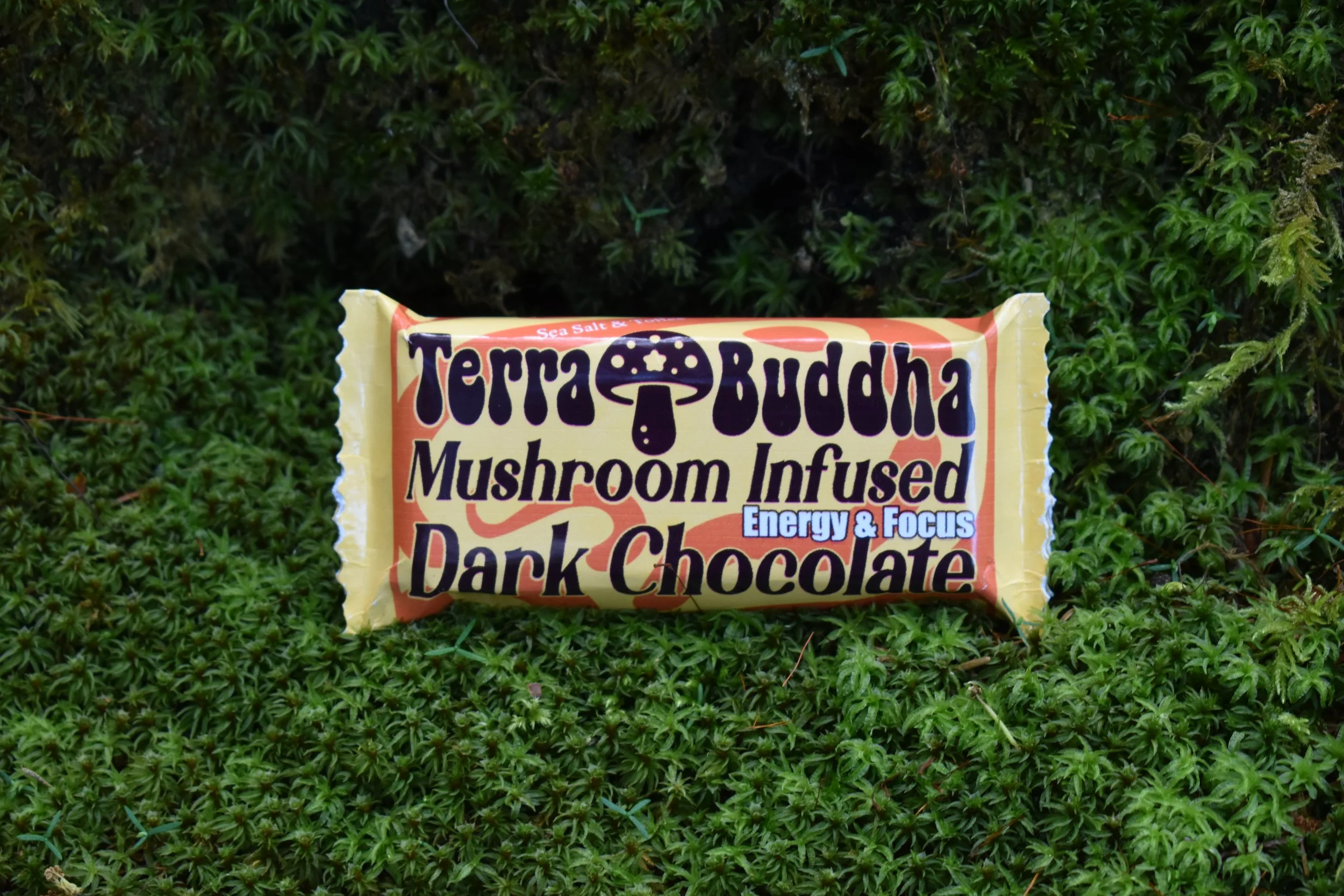 Where Premium Indulgence Meets Cognitive Wellness  