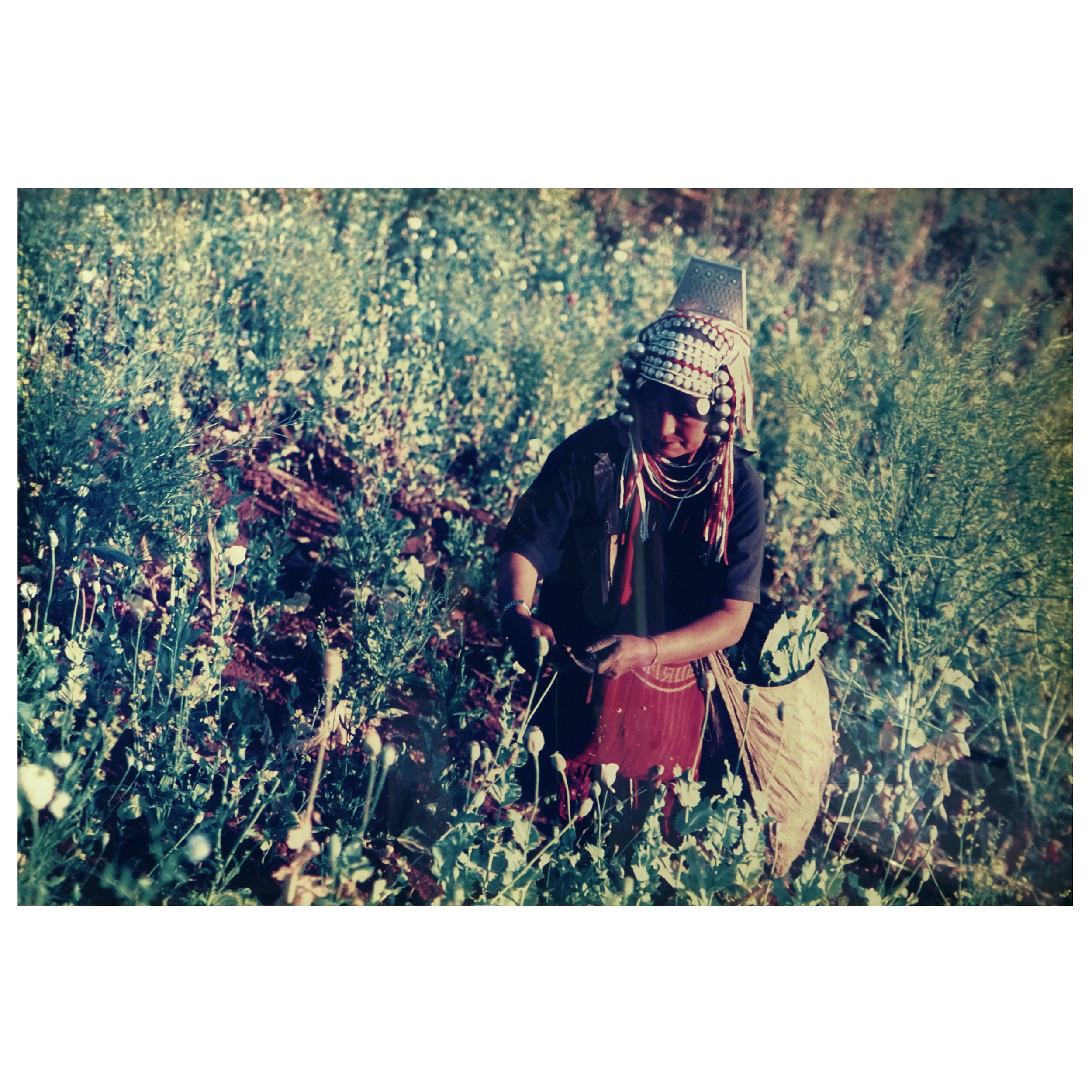 ROBERT CURRAN- AKA WOMAN HARVESTING FIELDS