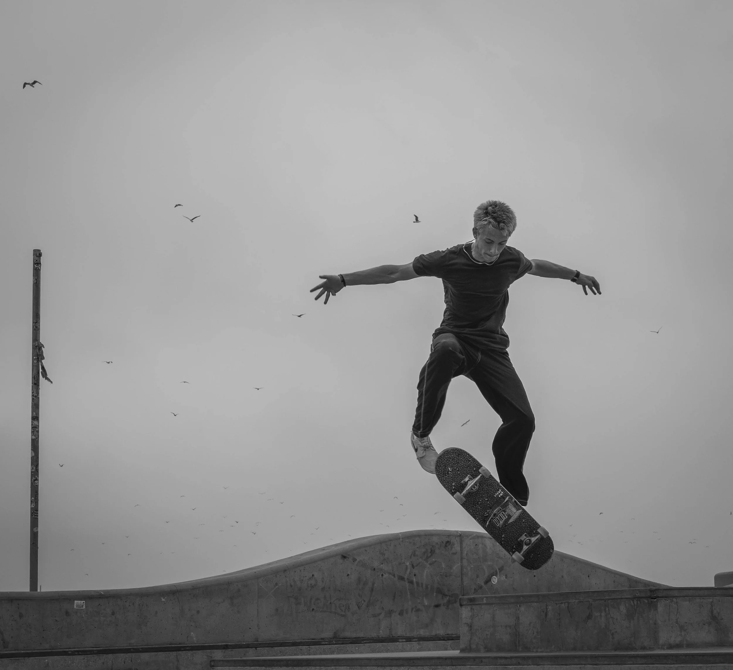 Take Flight