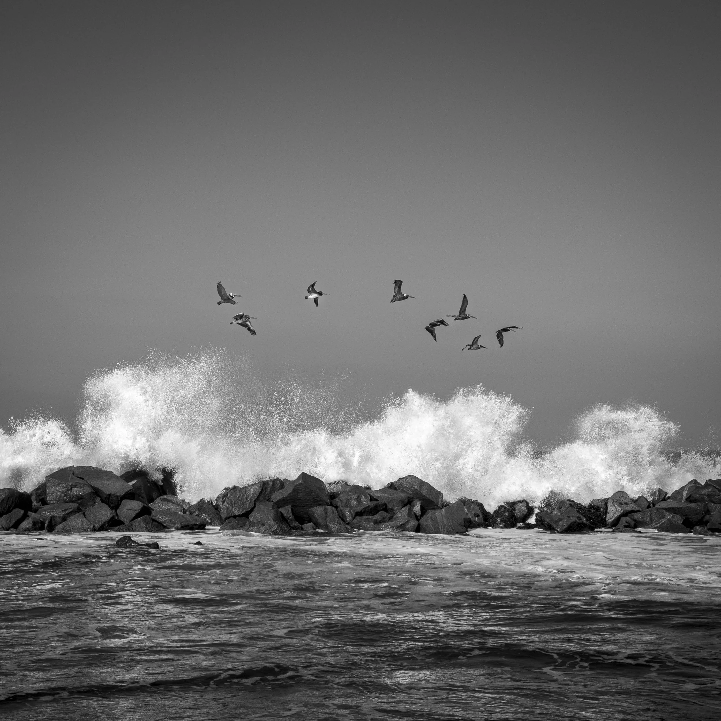 Sea Spray