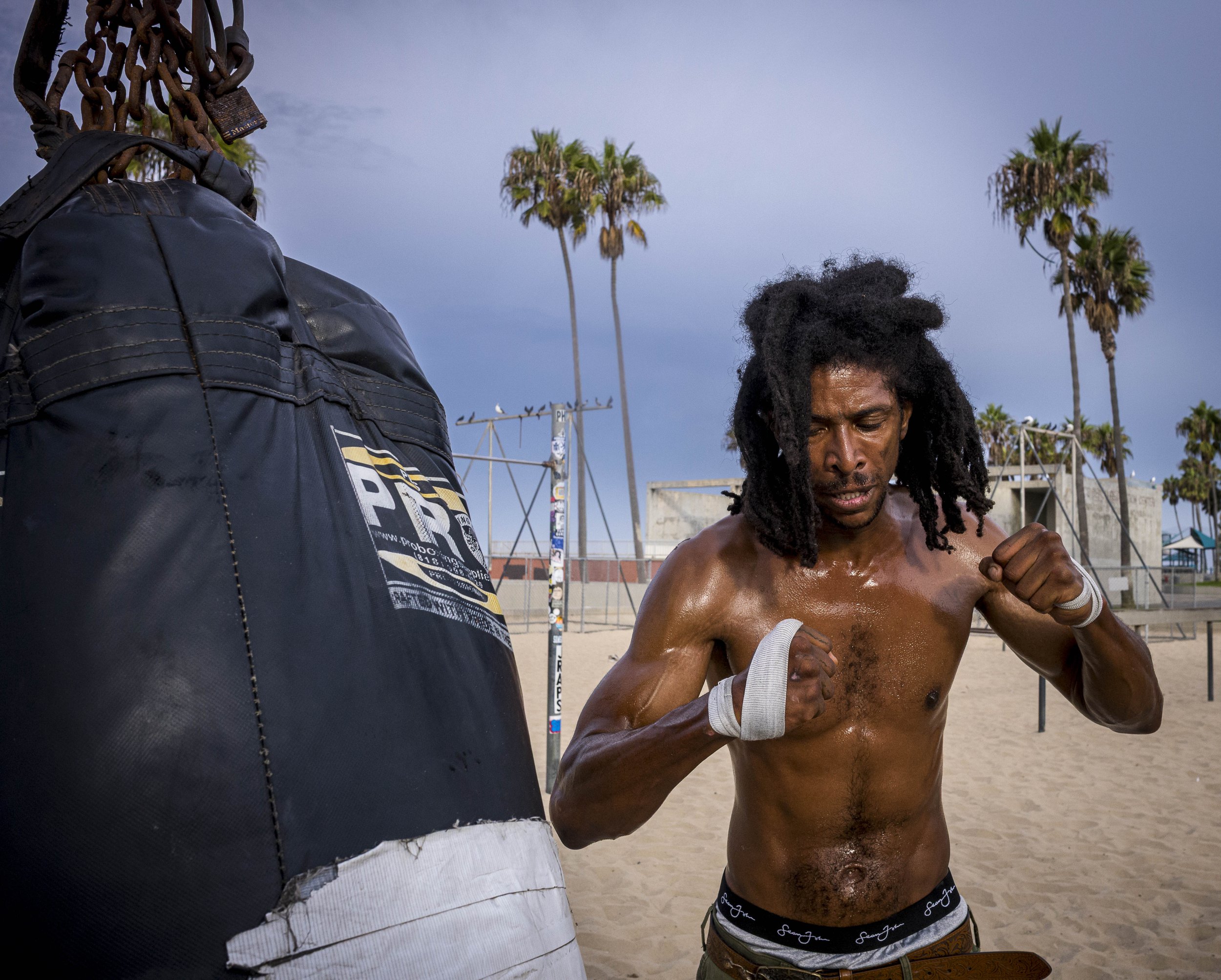 The Boxer
