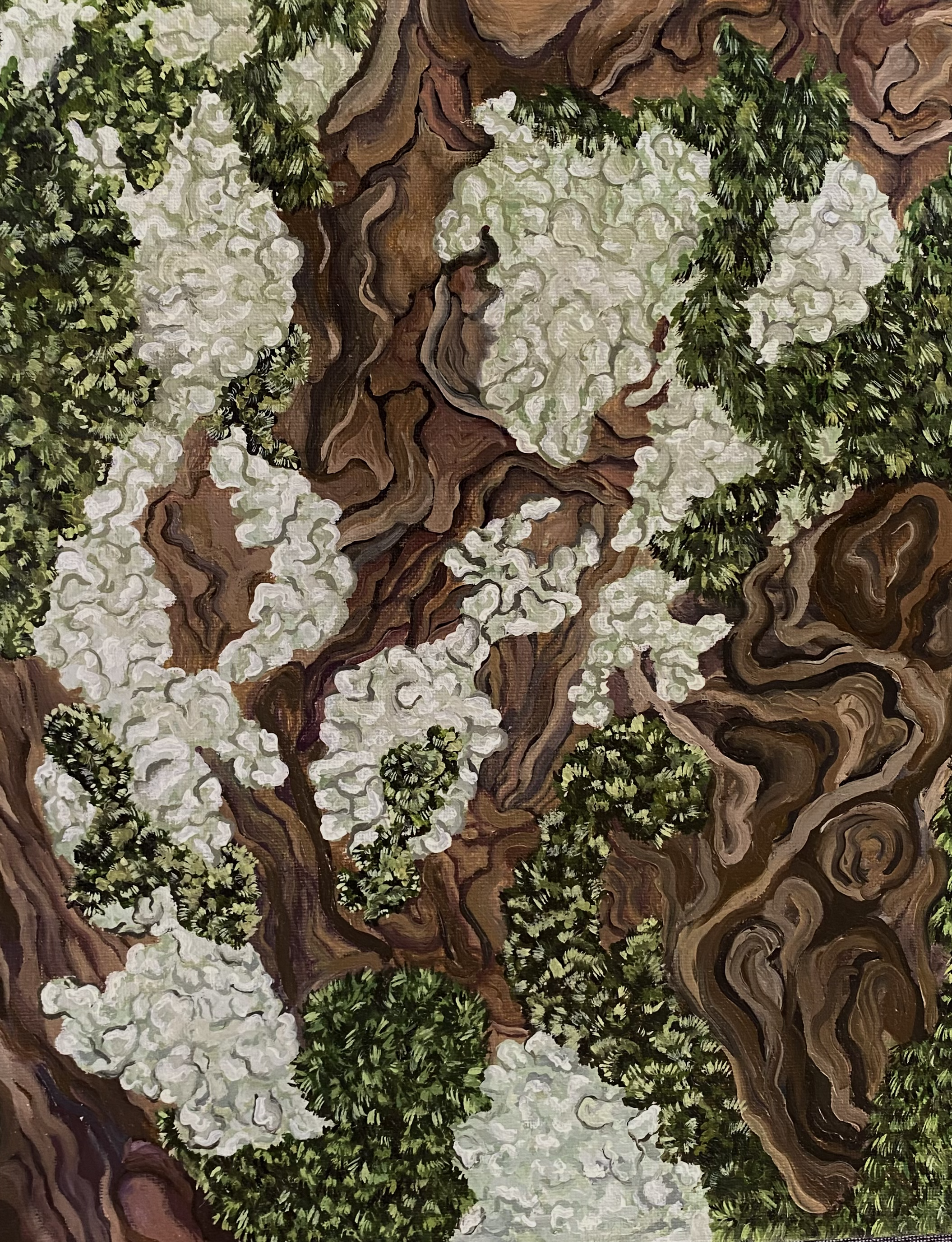 Microcosm, Oil on Canvas, 2025